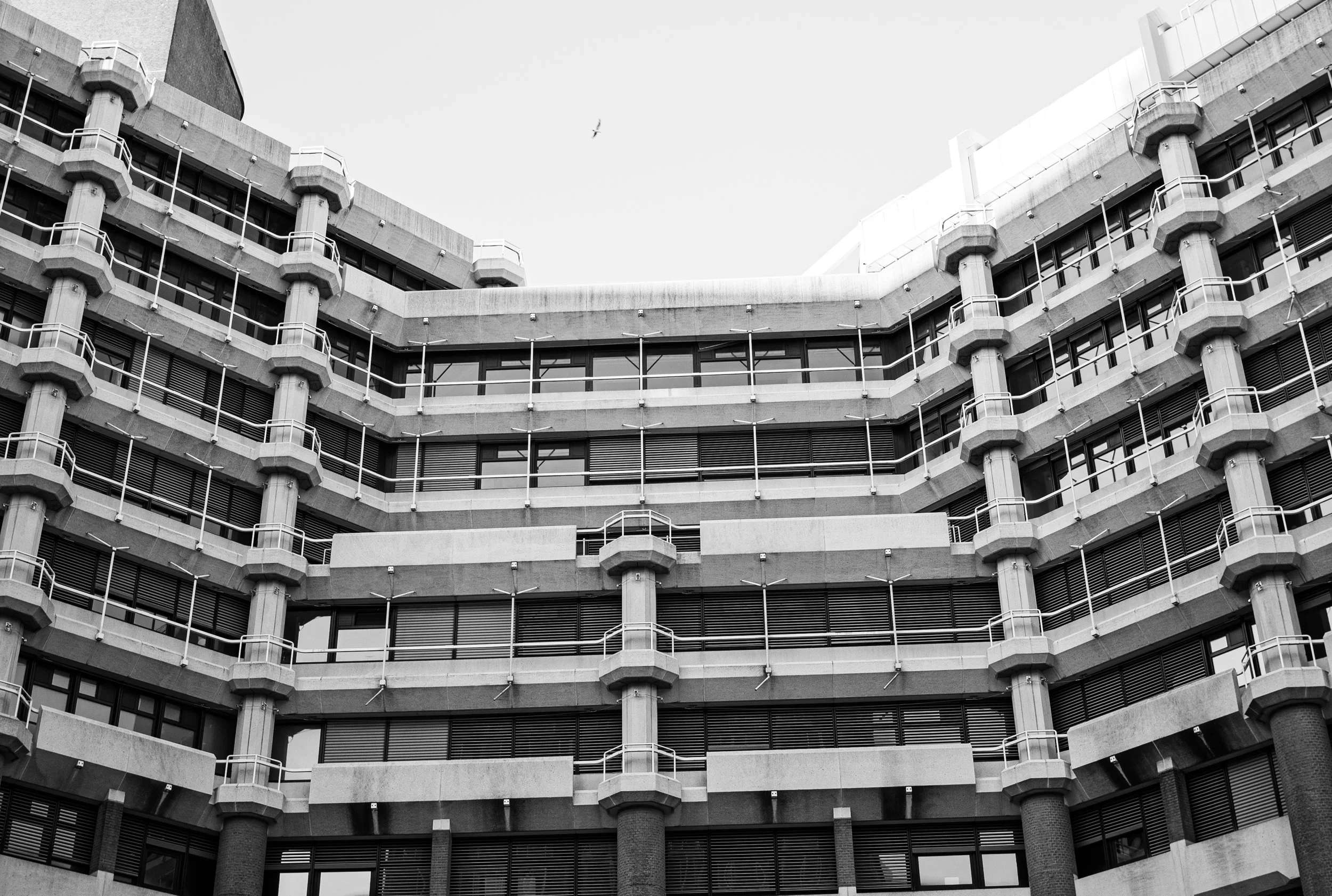 L1021315.jpg