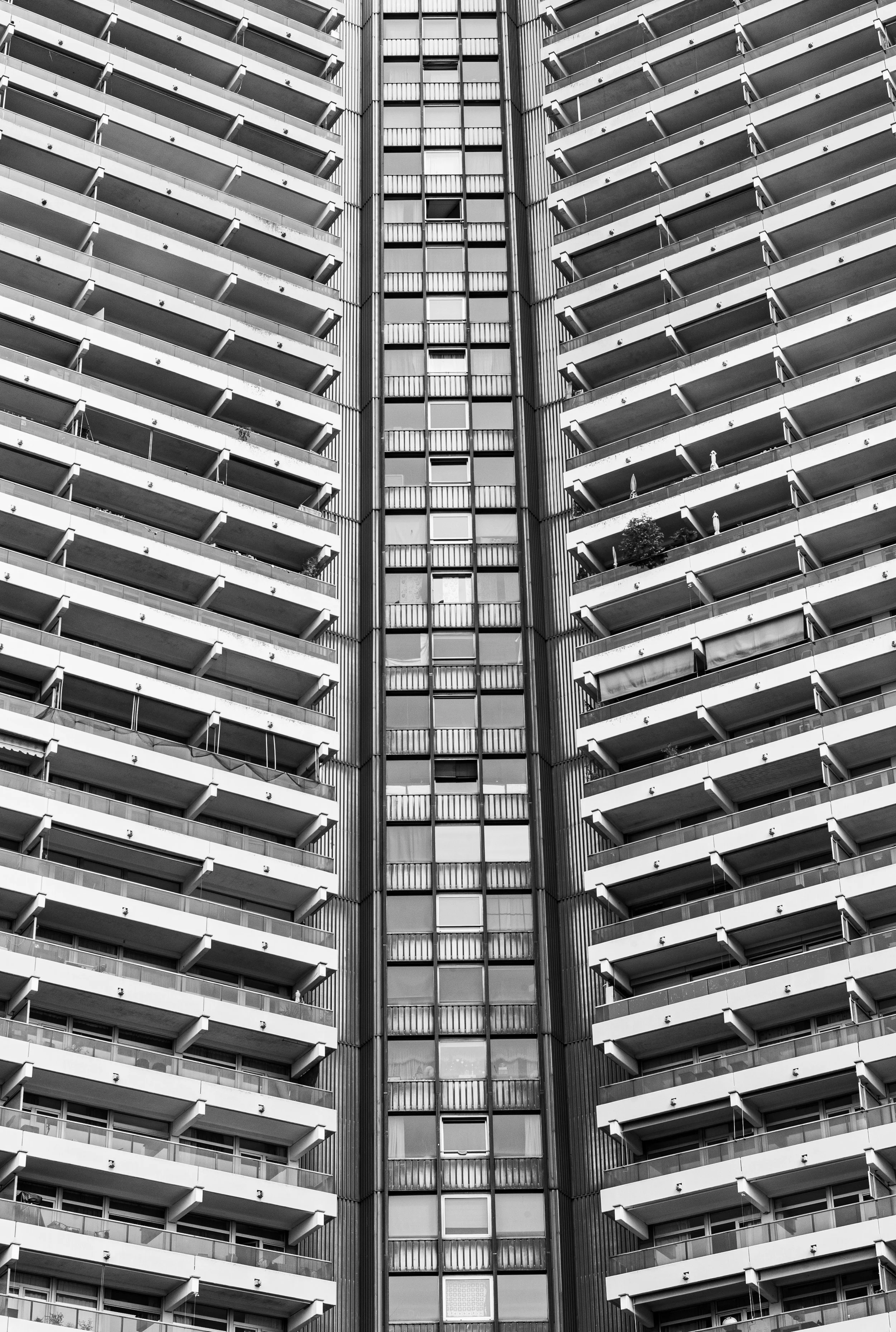 L1021008.jpg