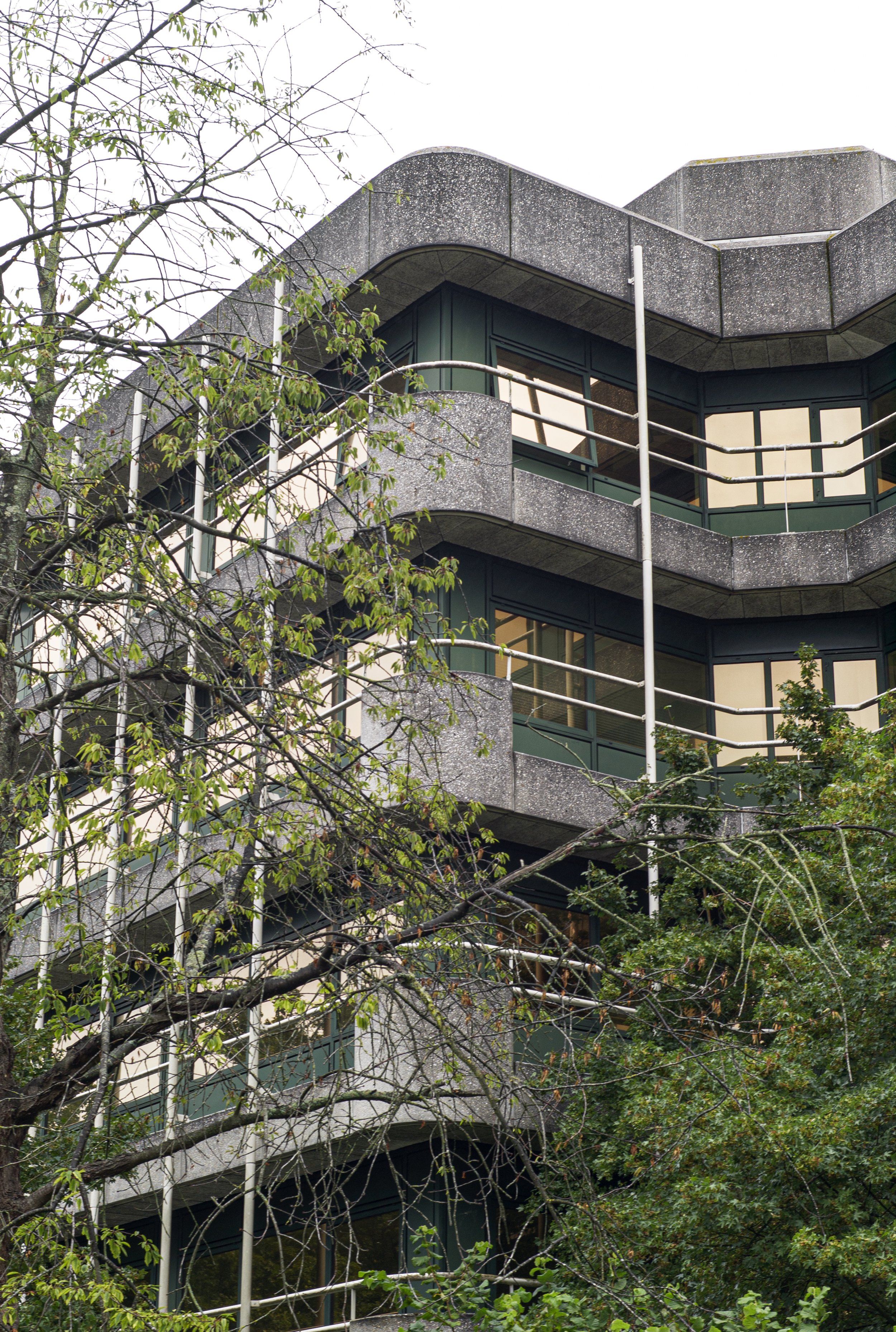 L1020580.jpg