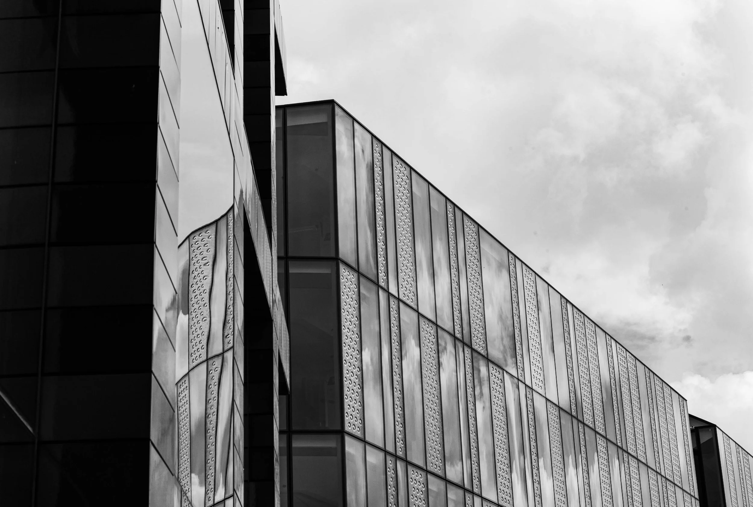 L1020022.jpg