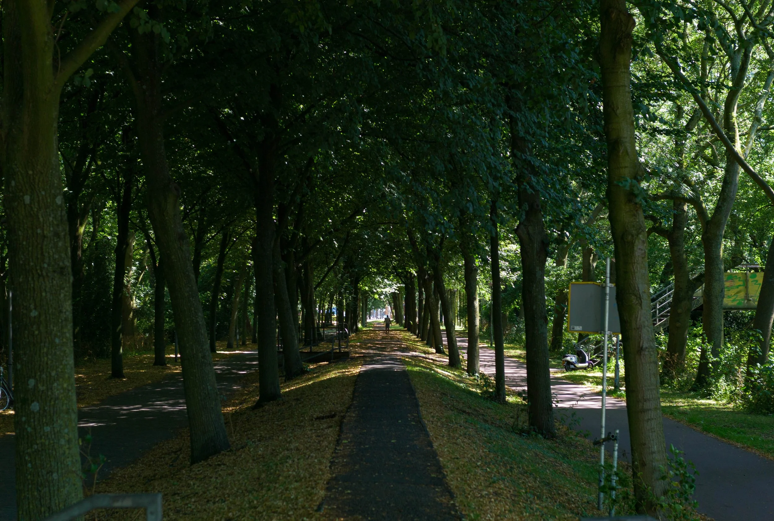 L1010341.jpg