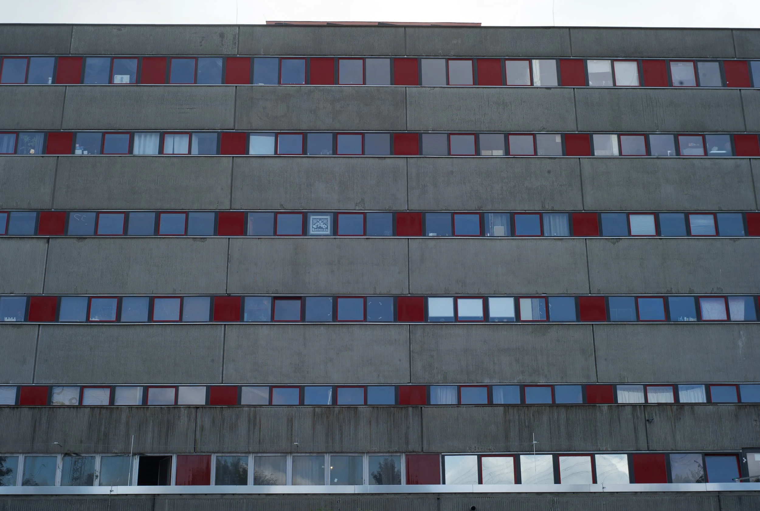 L1022528.jpg