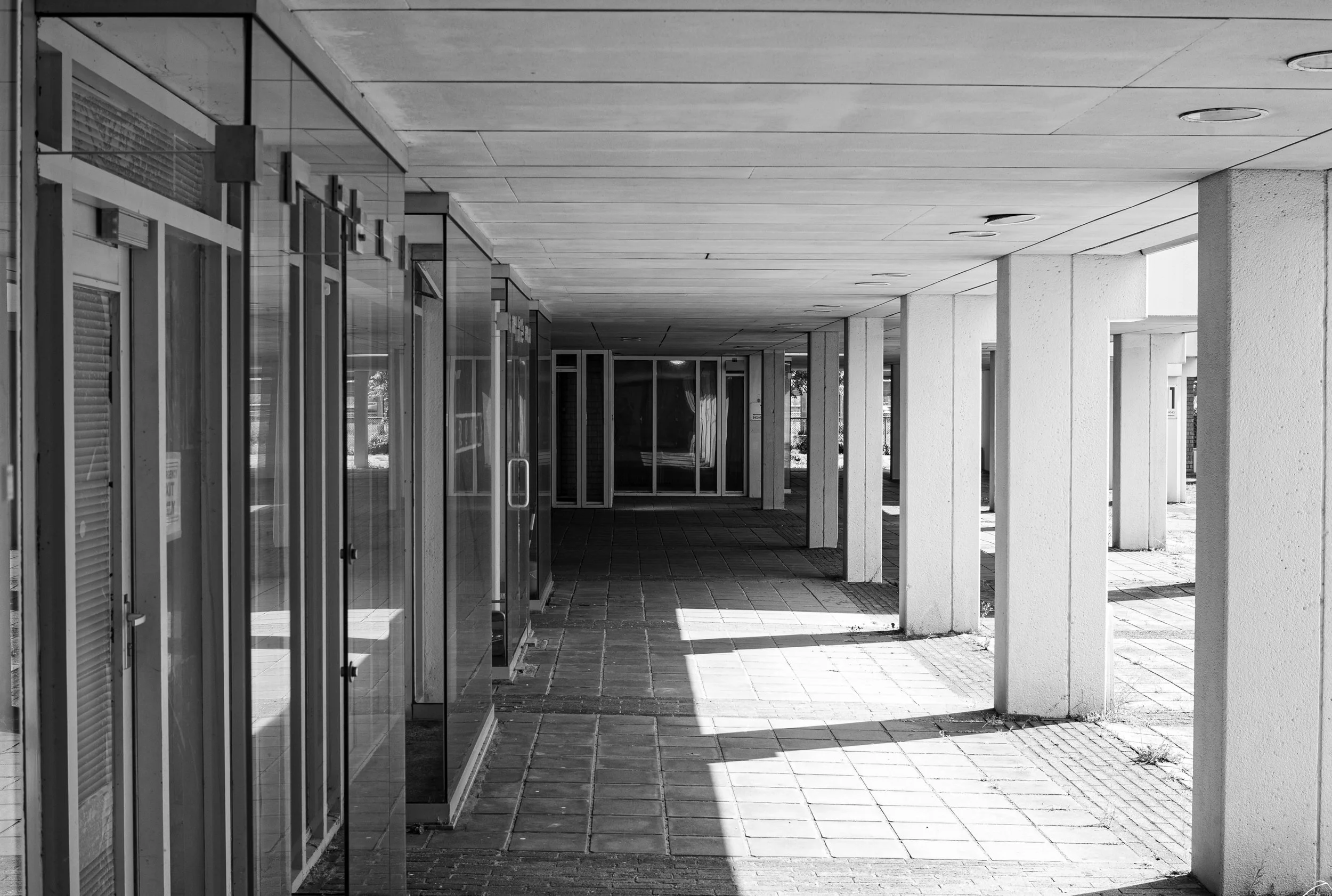 L1020624.jpg