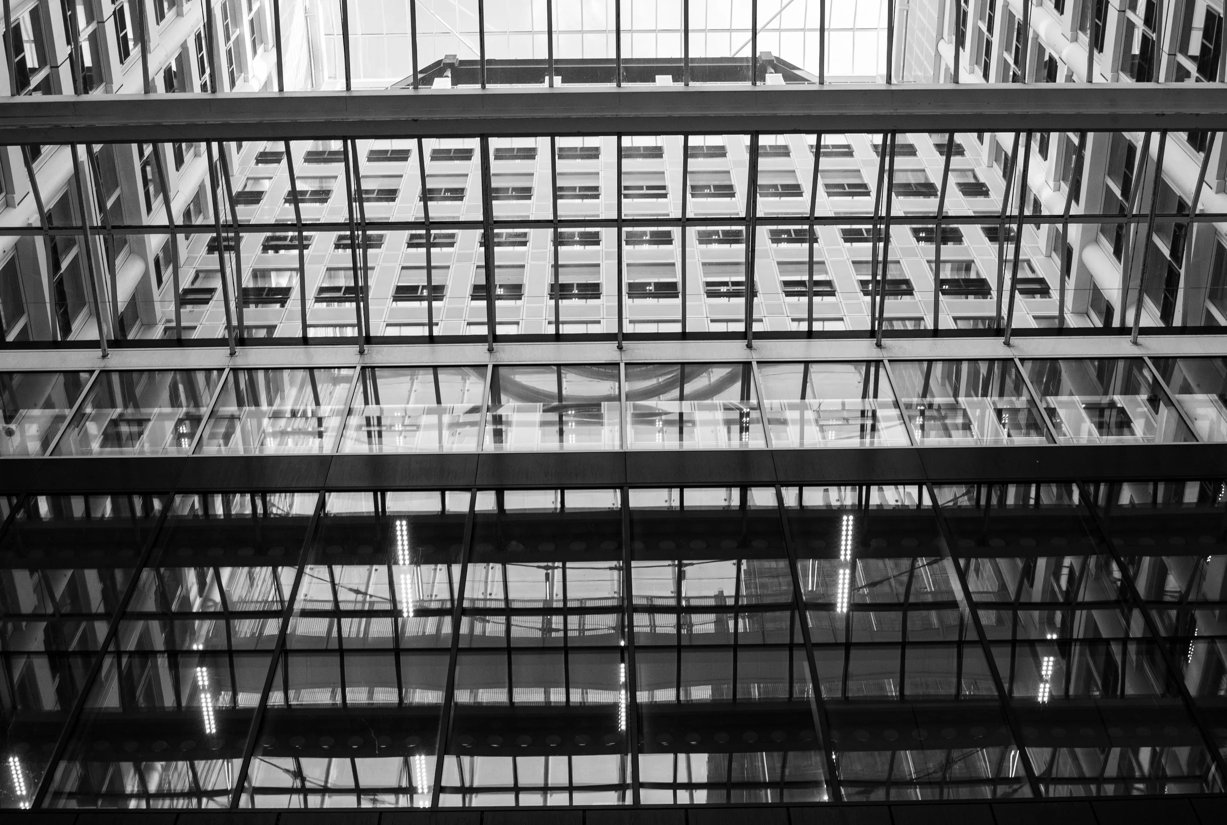 L1000388.jpg