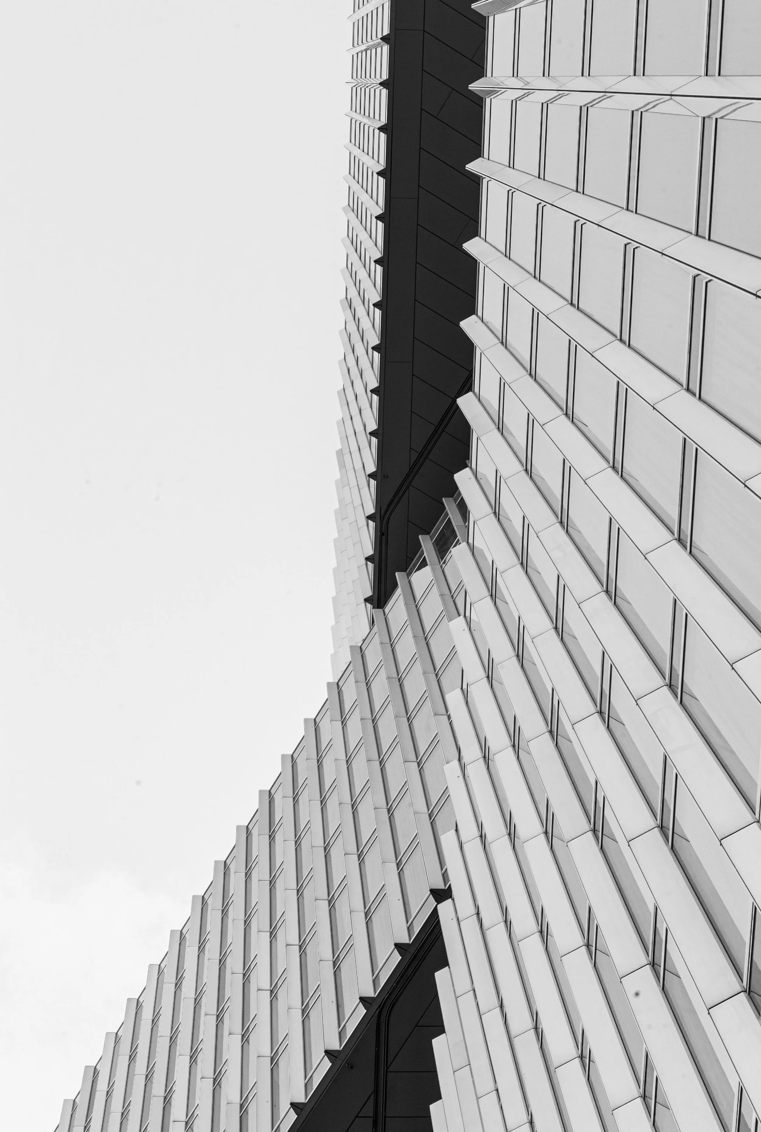 L1021853.jpg