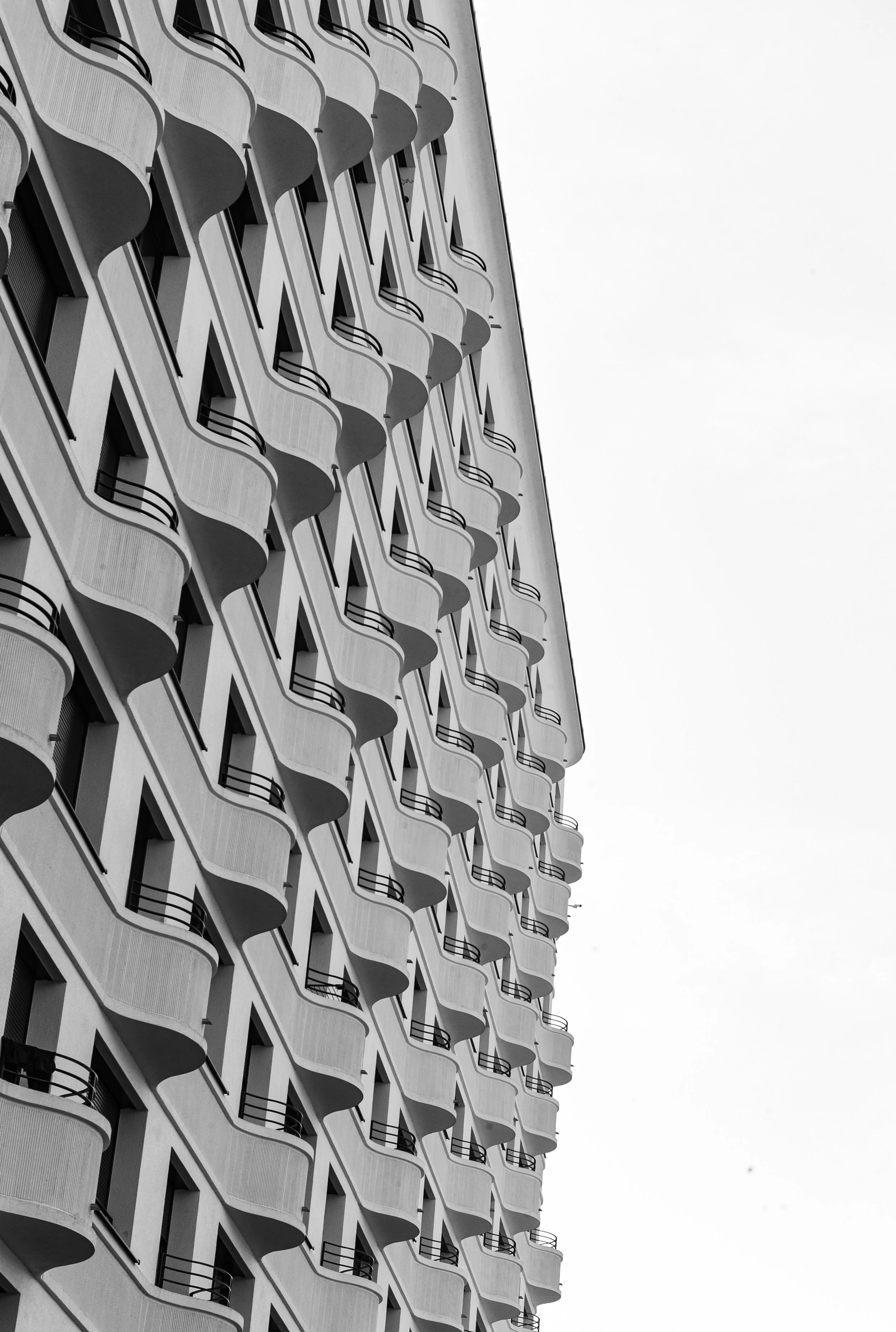 L1022939.jpg
