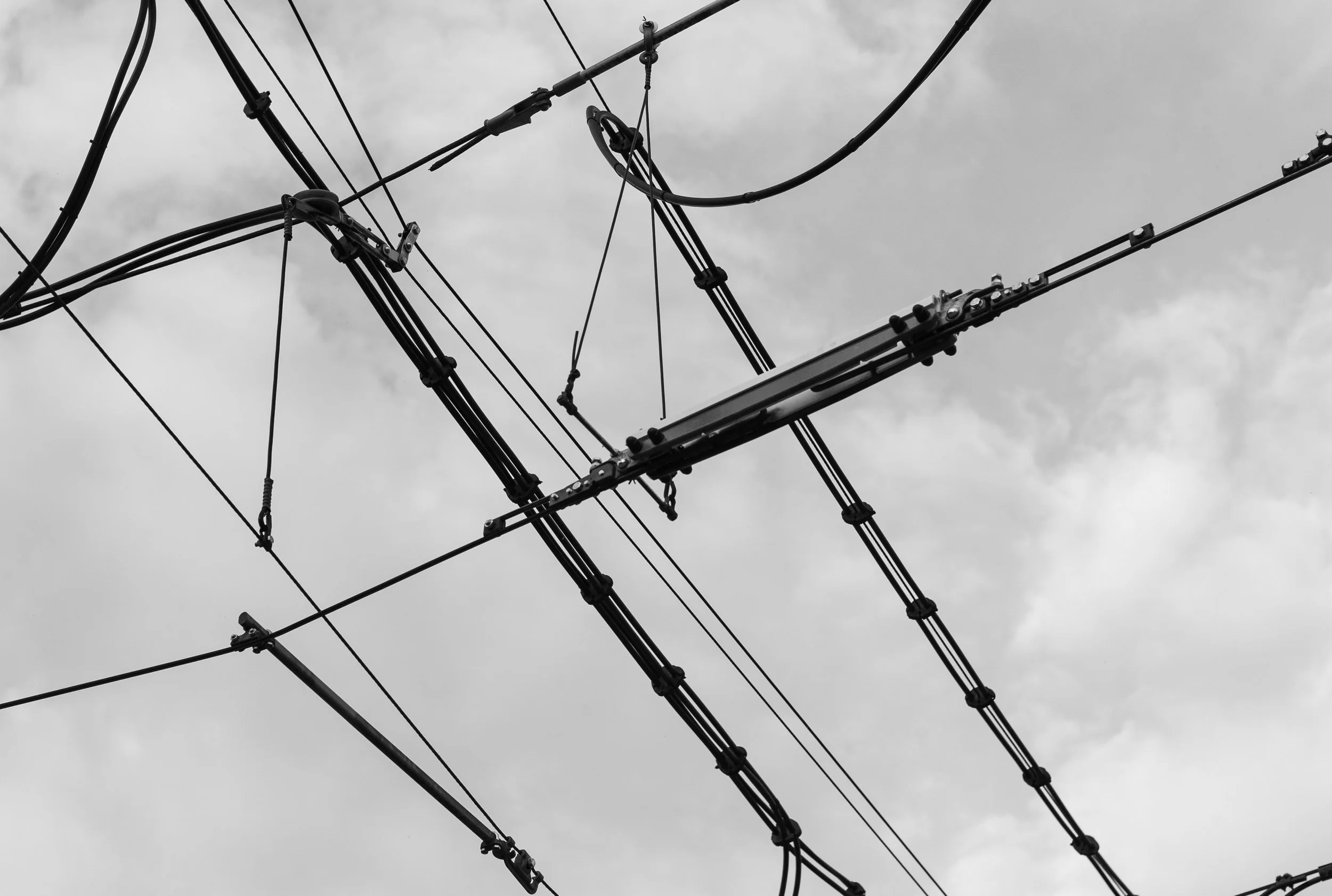 L1000144.jpg