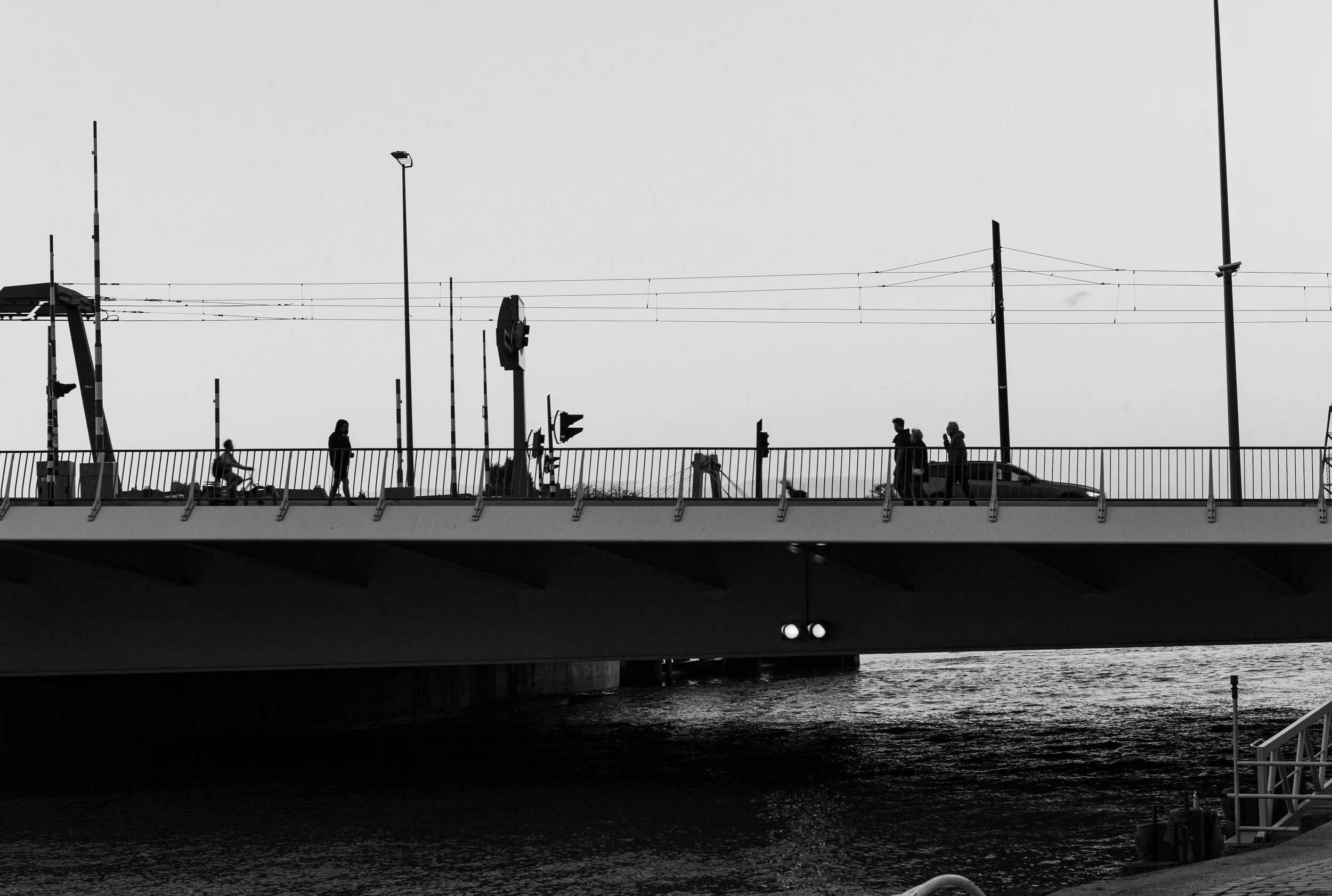 L1022109.jpg