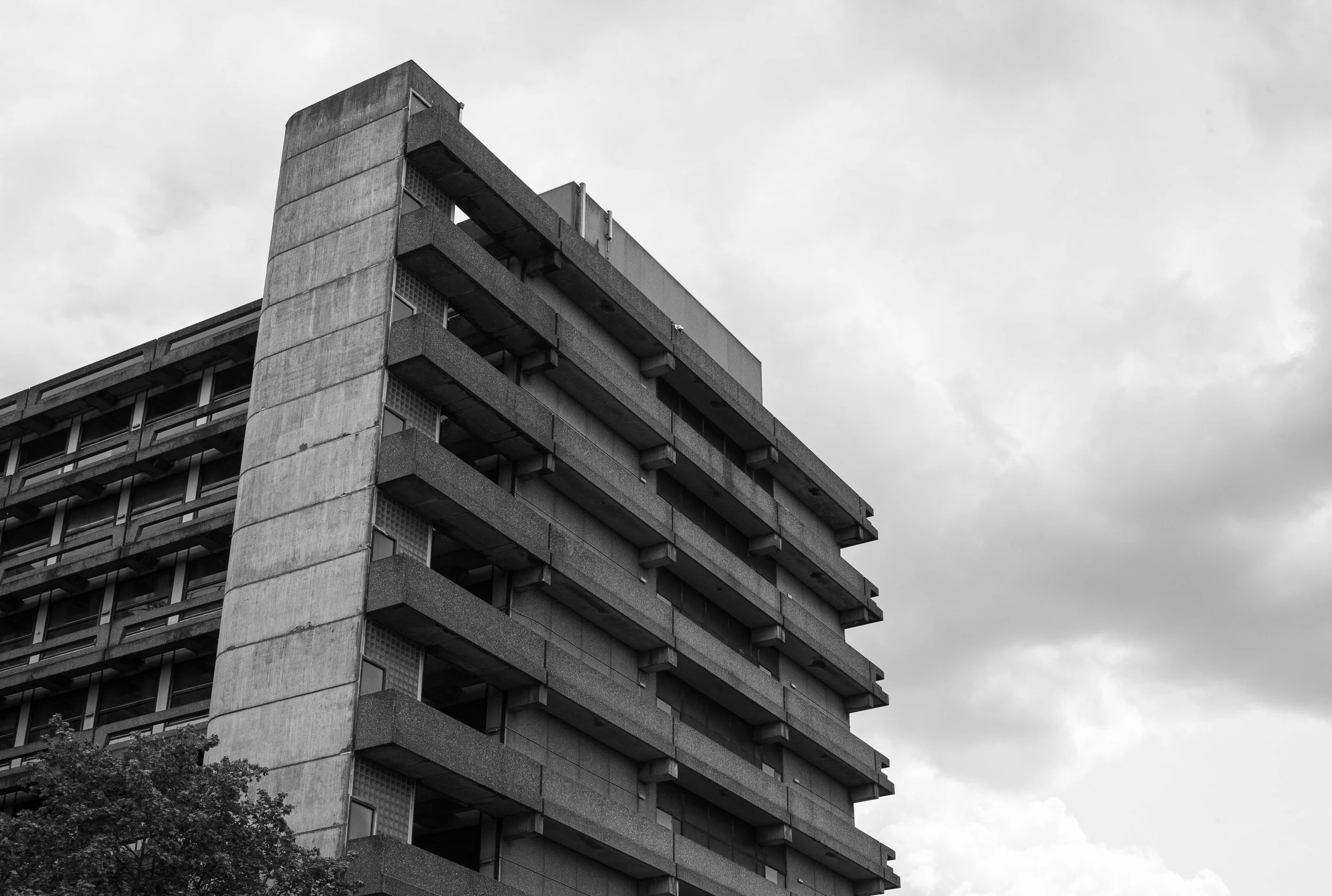 L1020689.jpg