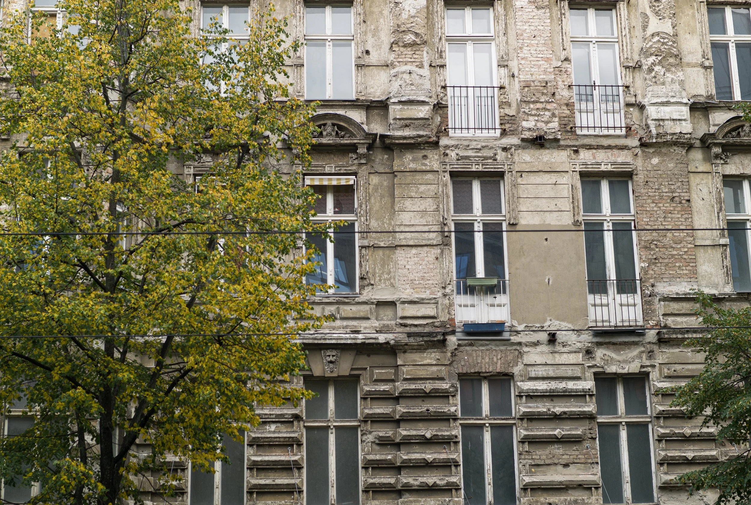 L1000066.jpg