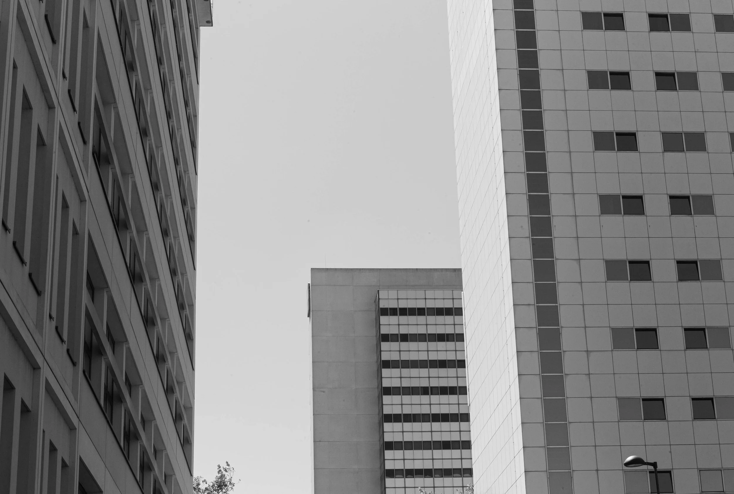L1010331.jpg
