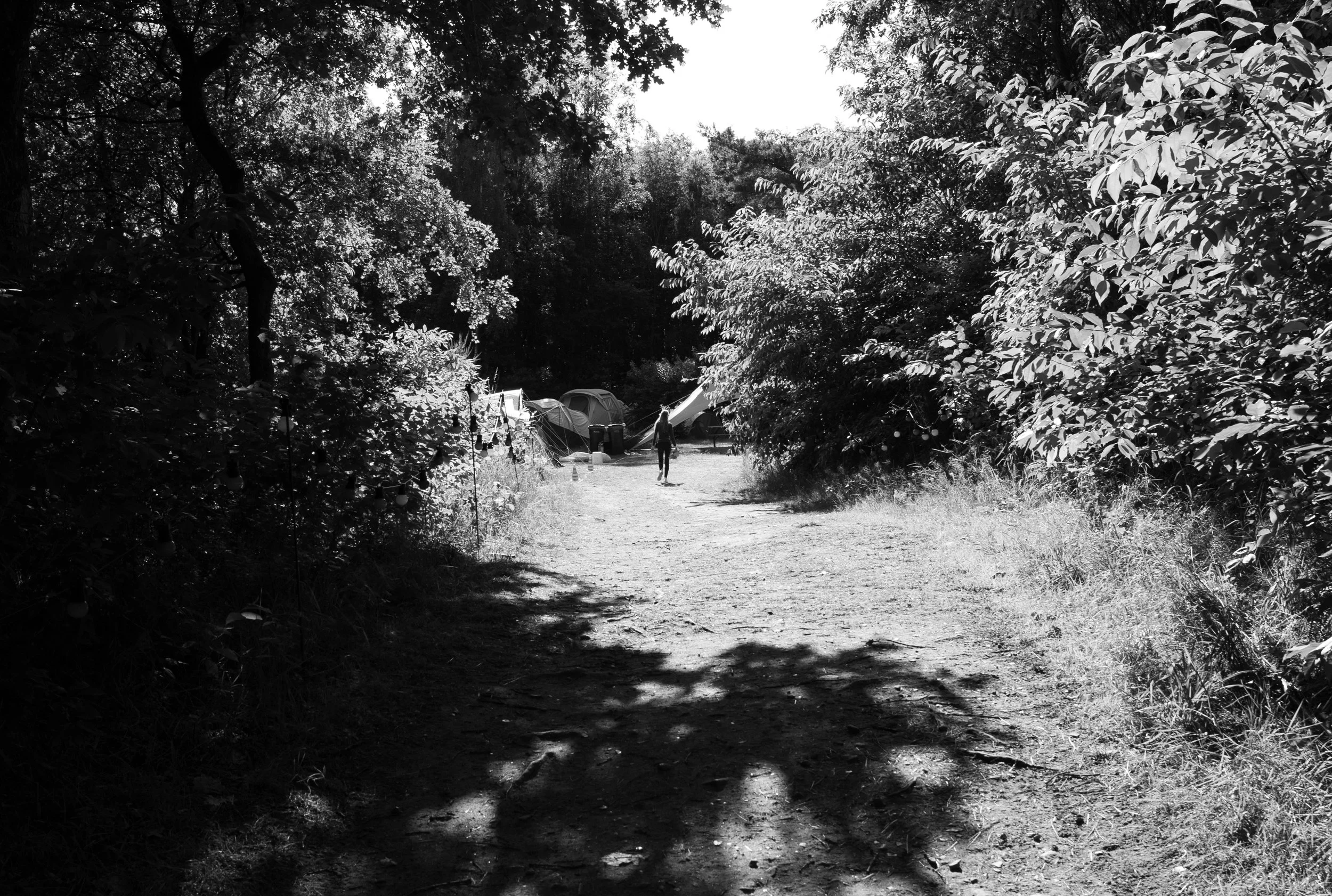 L1020392.jpg