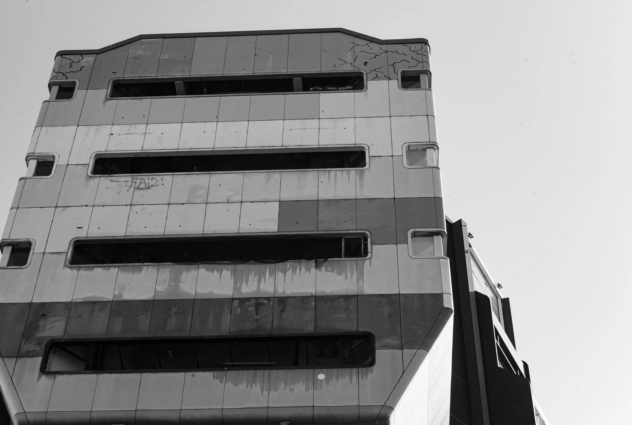 L1000253.jpg