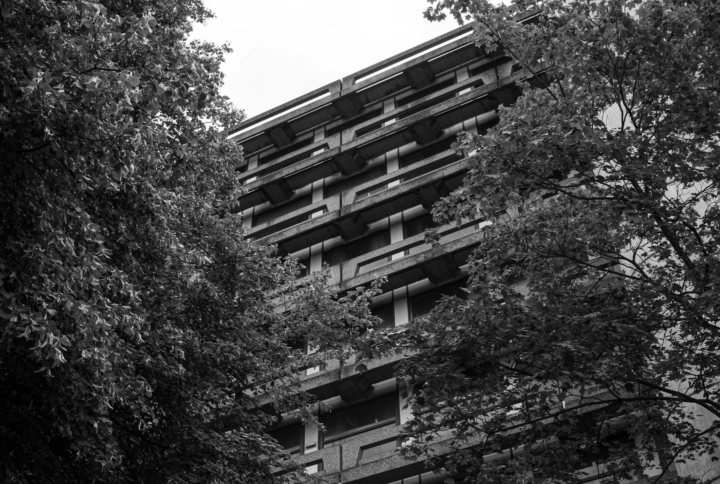 L1020692.jpg