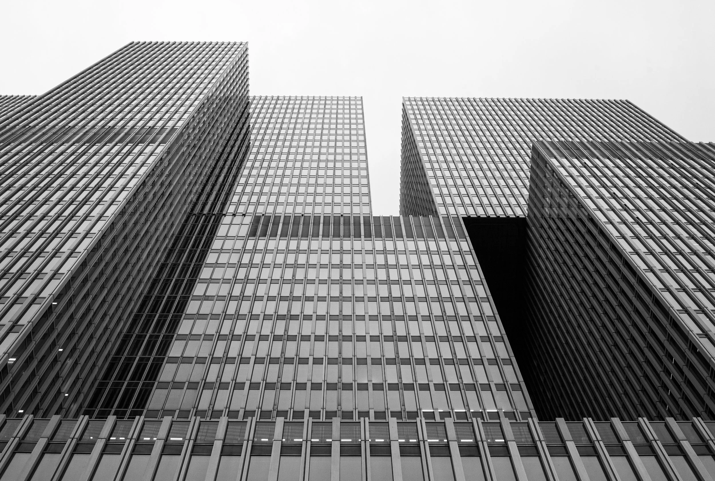 L1021555.jpg