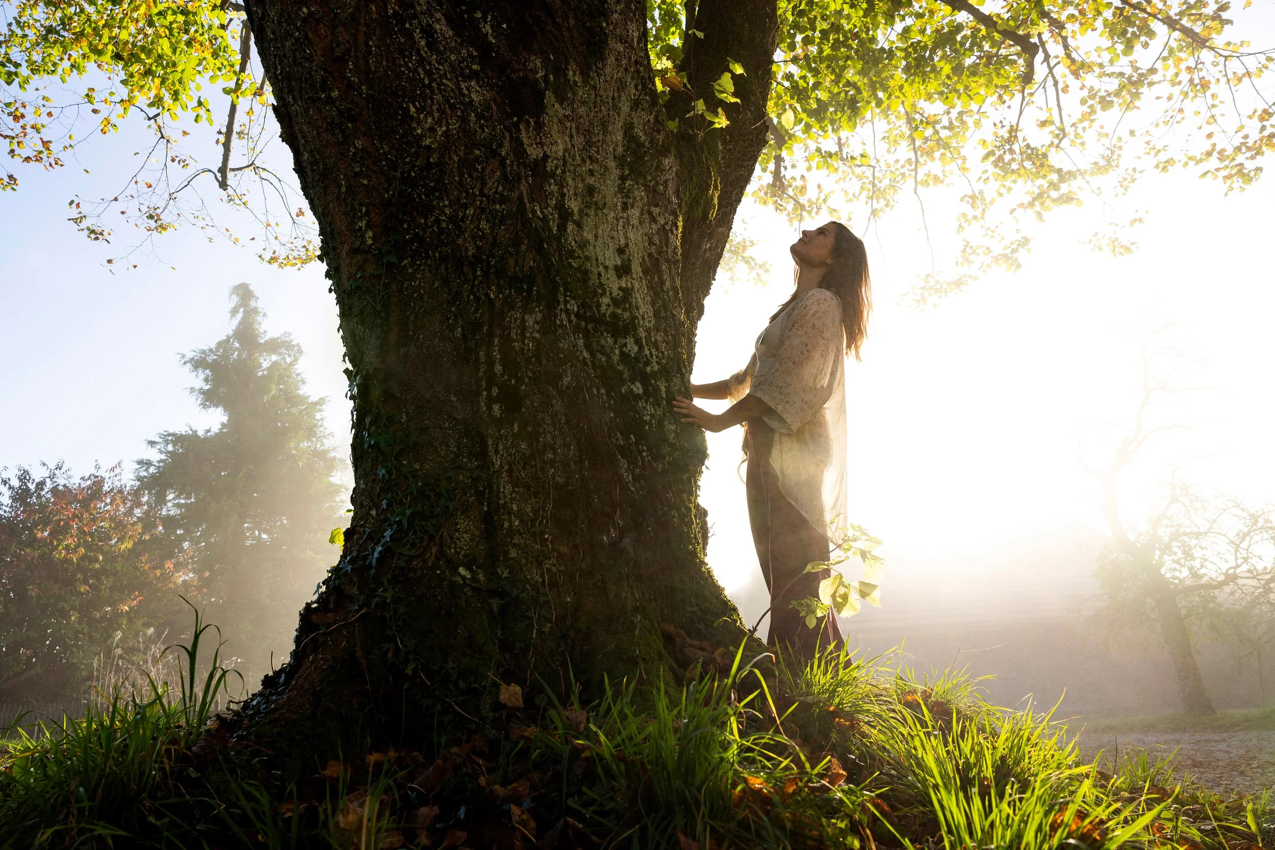 Frau steht an einem Baum im Morgengrauen, Sonnenlicht strahlt durch die Äste.