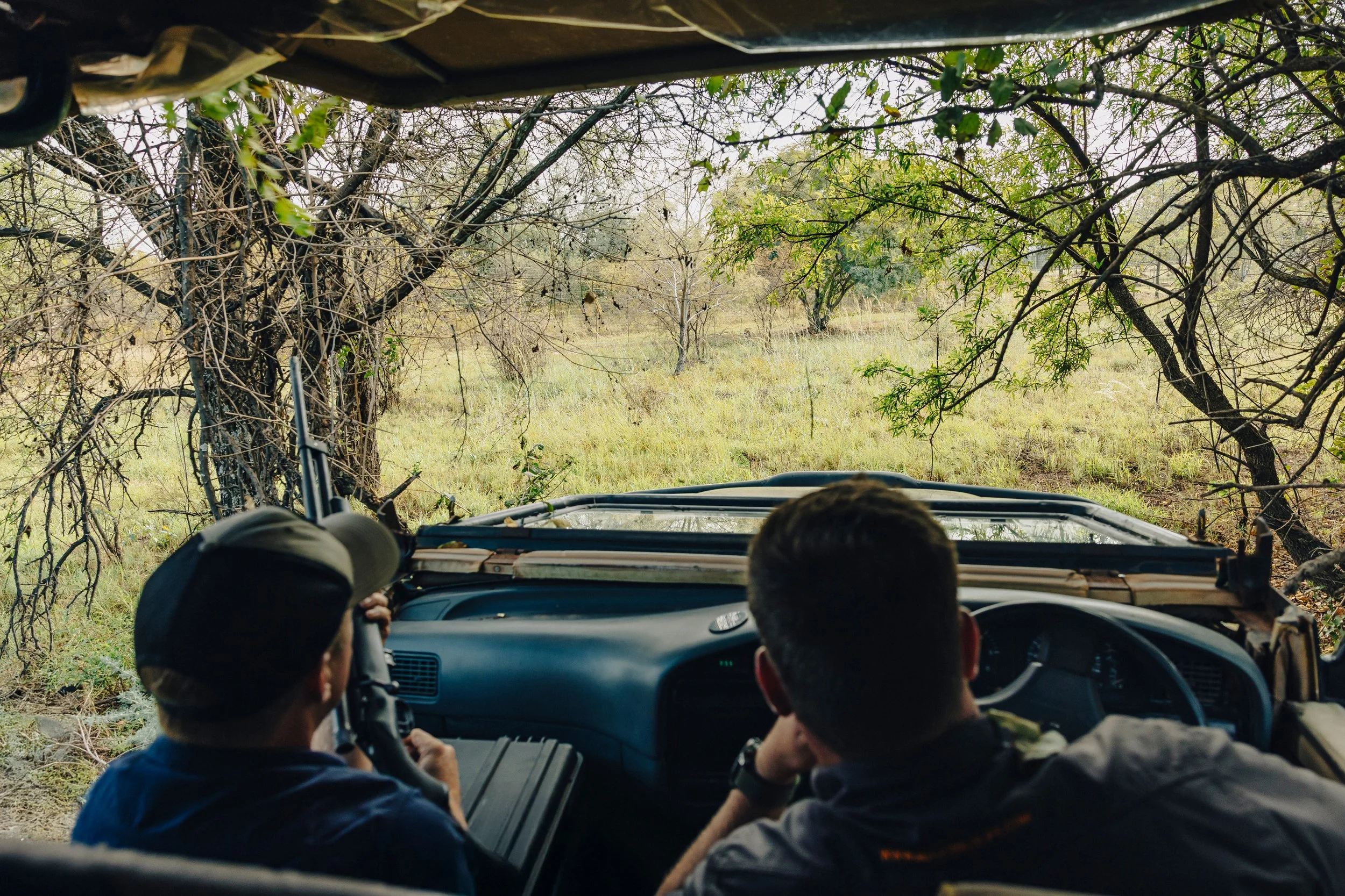 26-04 Safari-Südafrika_Gepard-Umsiedlung _22_klein.jpg