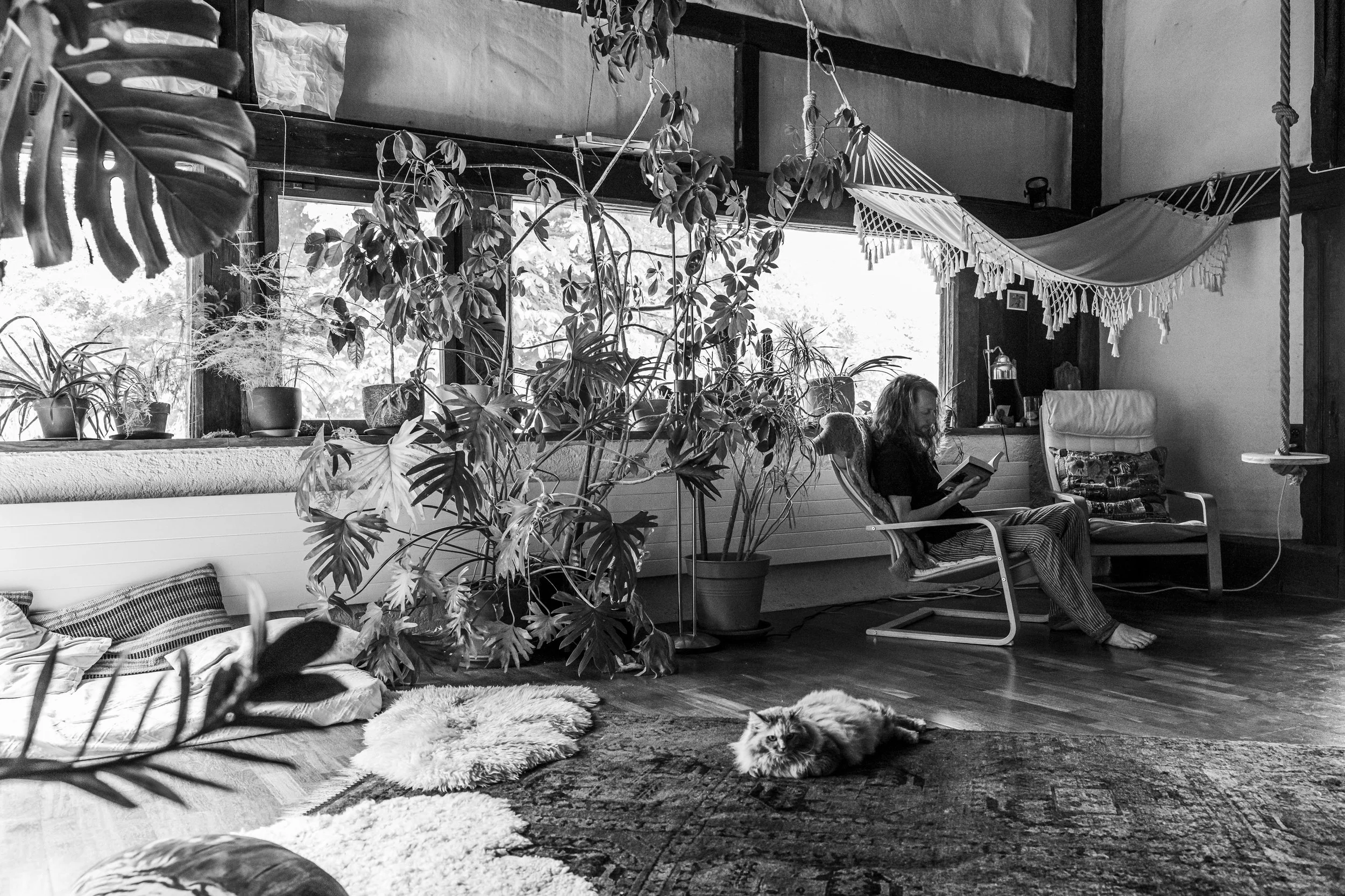 Ein schwarz-weiß Bild einer gemütlichen Wohnzimmer-Szene mit einem Mann, der auf einem Stuhl liest, einer Katze auf dem Teppich im Vordergrund, mehreren Pflanzen auf dem Fensterbrett und einem Hängesessel an der Decke.