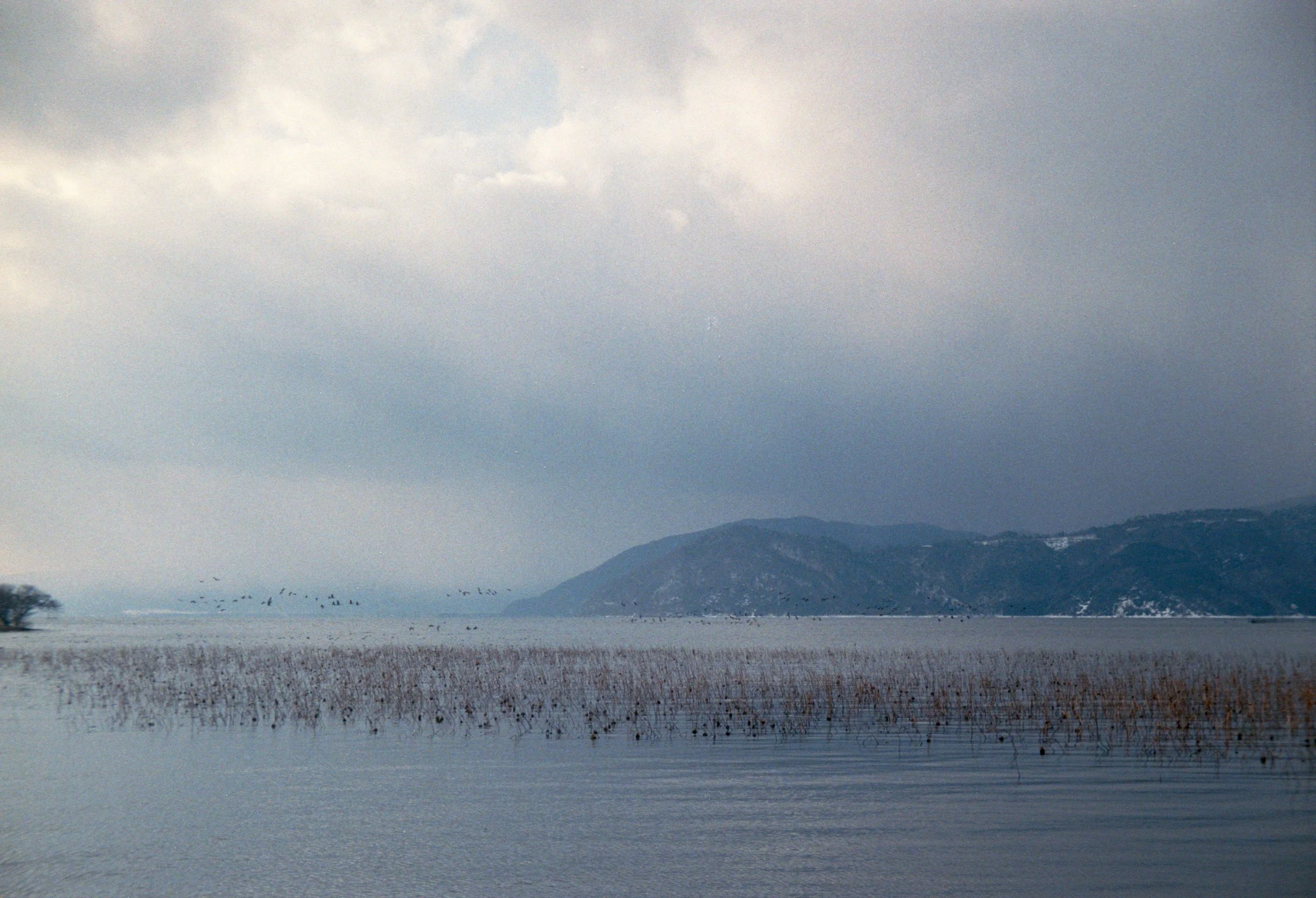 Lake Biwa on winter.jpg