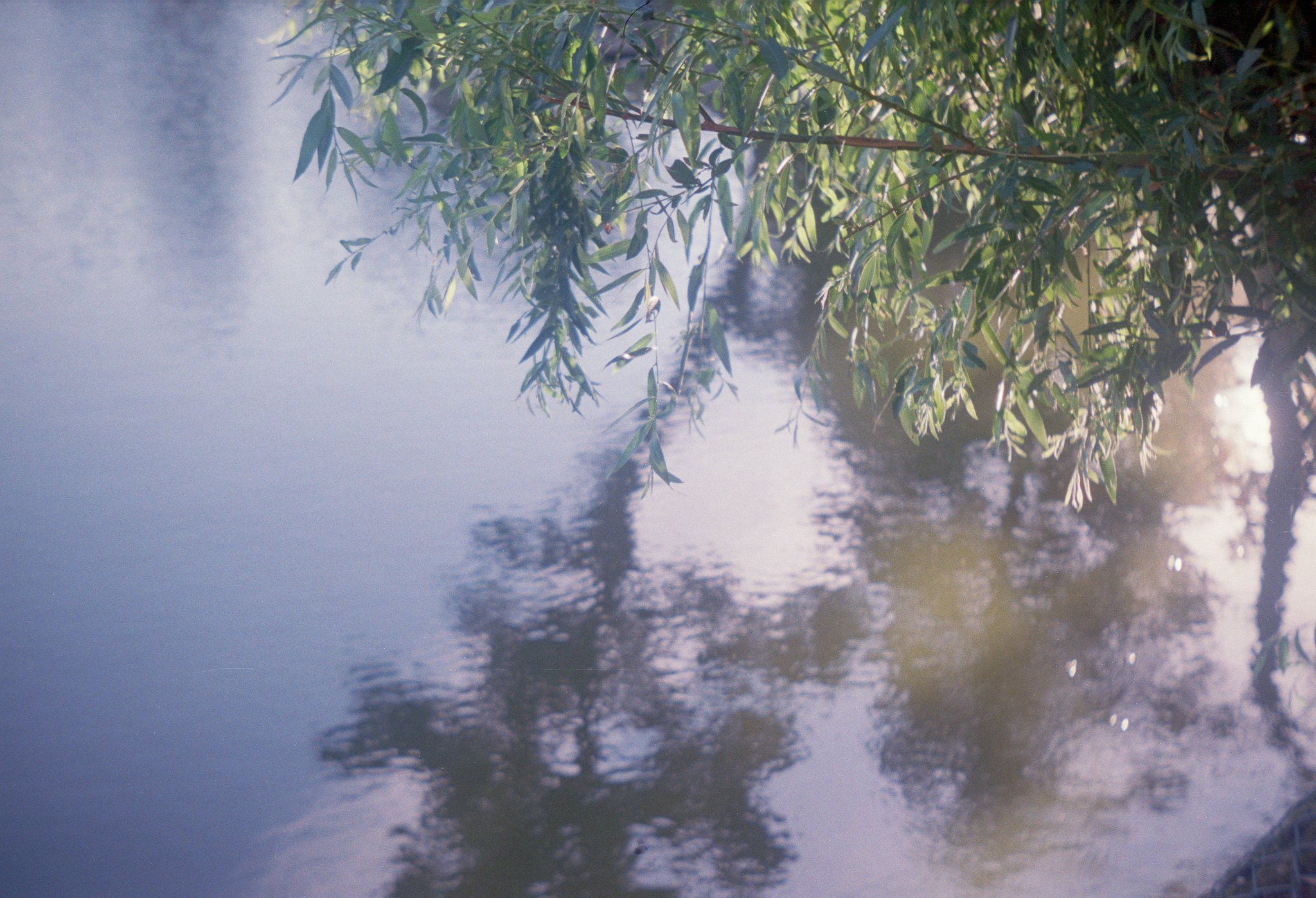 One summer morning.jpg
