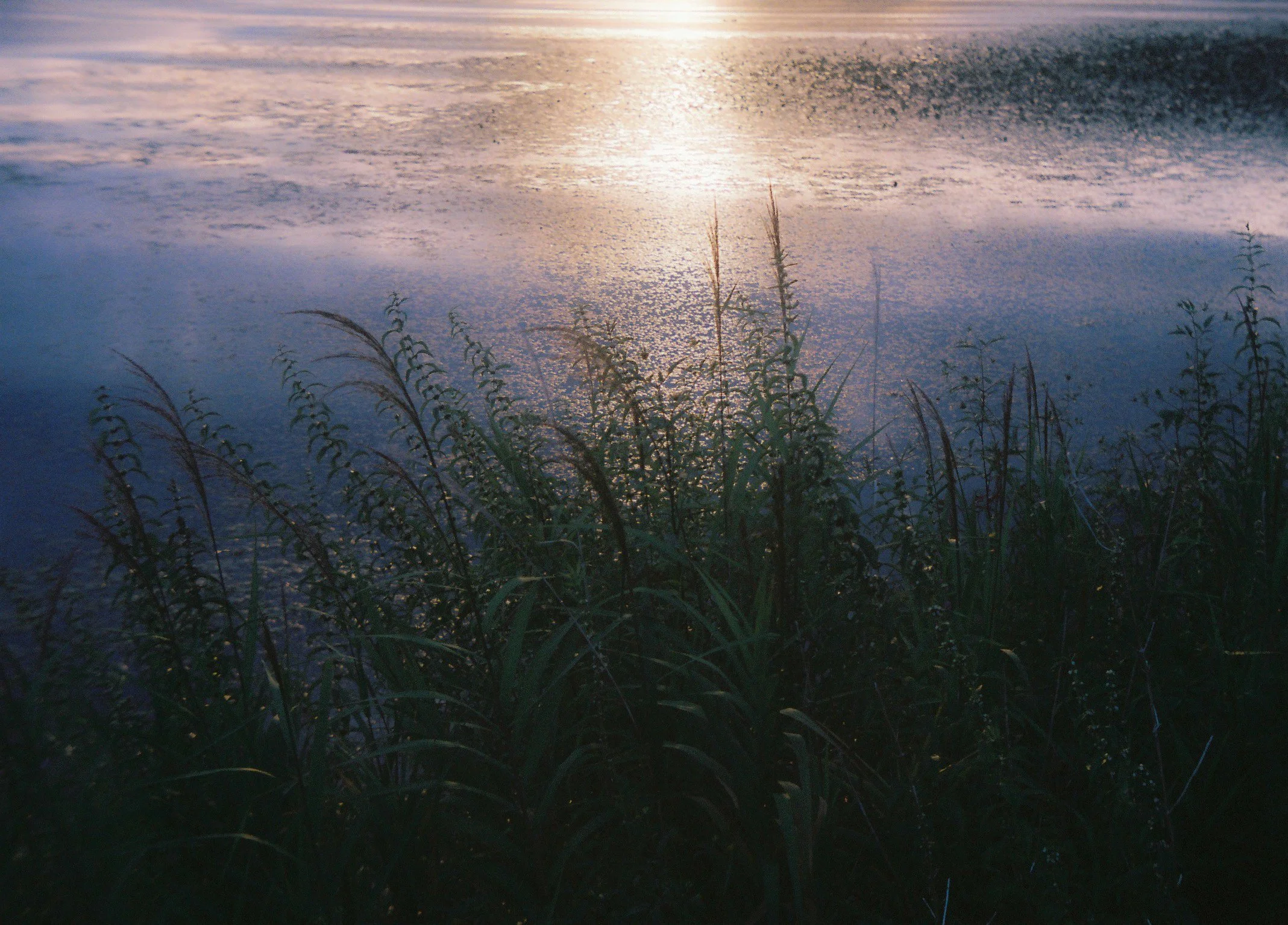 000021-3.jpg