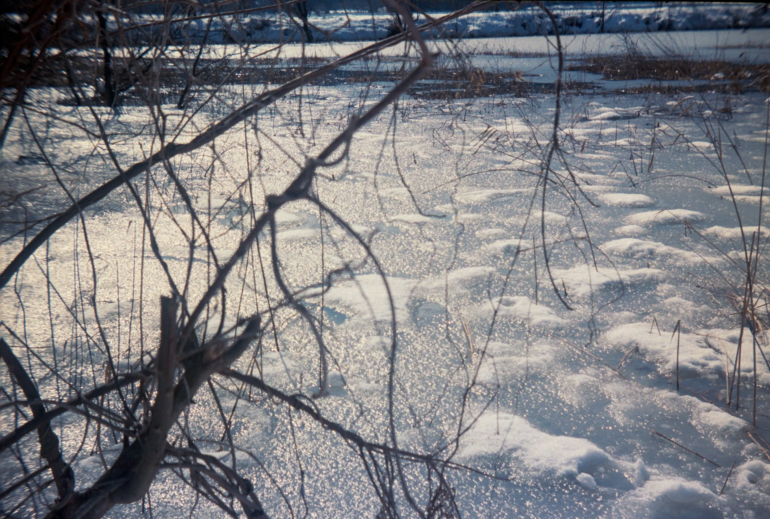 Lake Yogo glisten.jpg