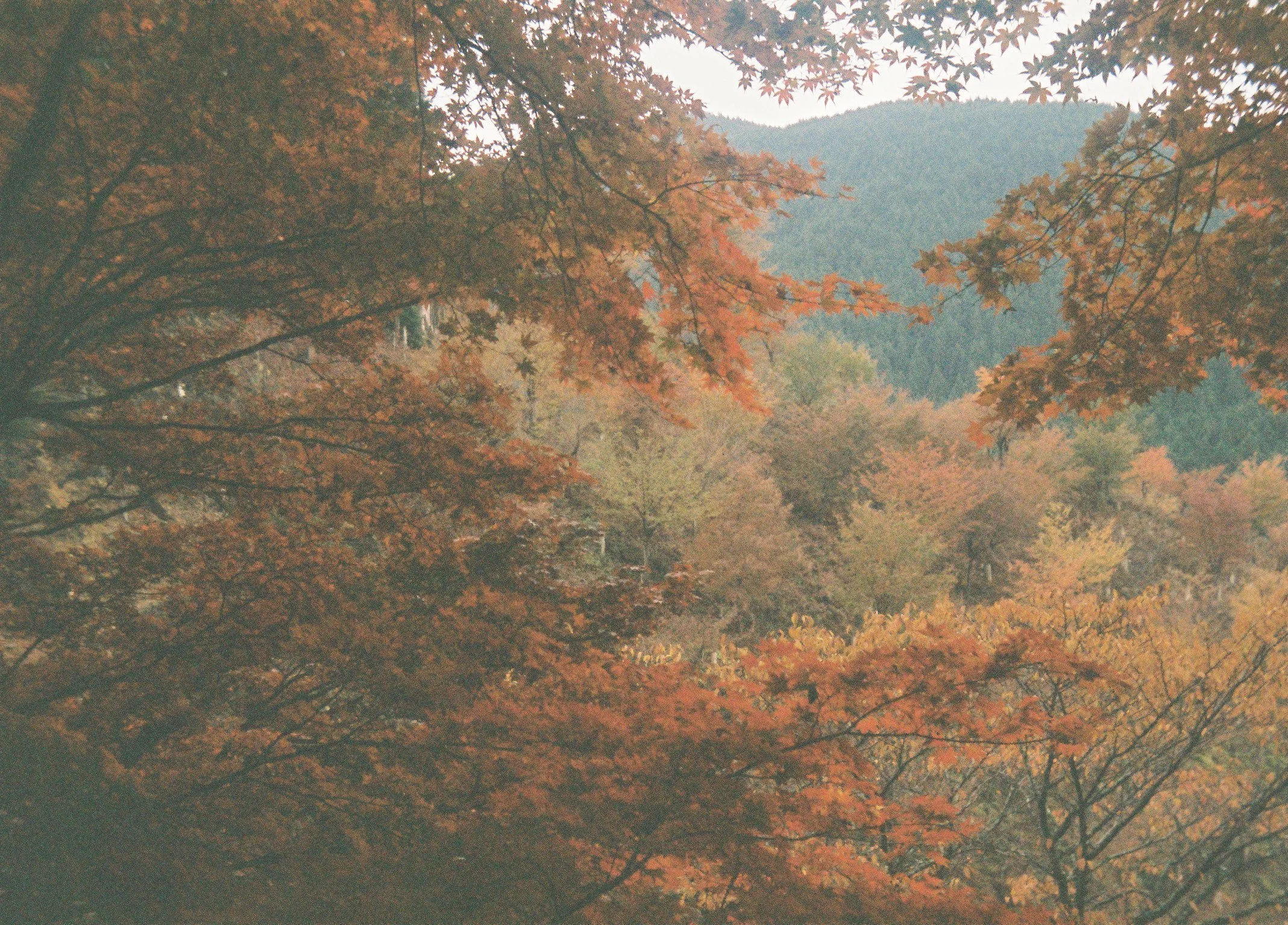 000021-7.jpg