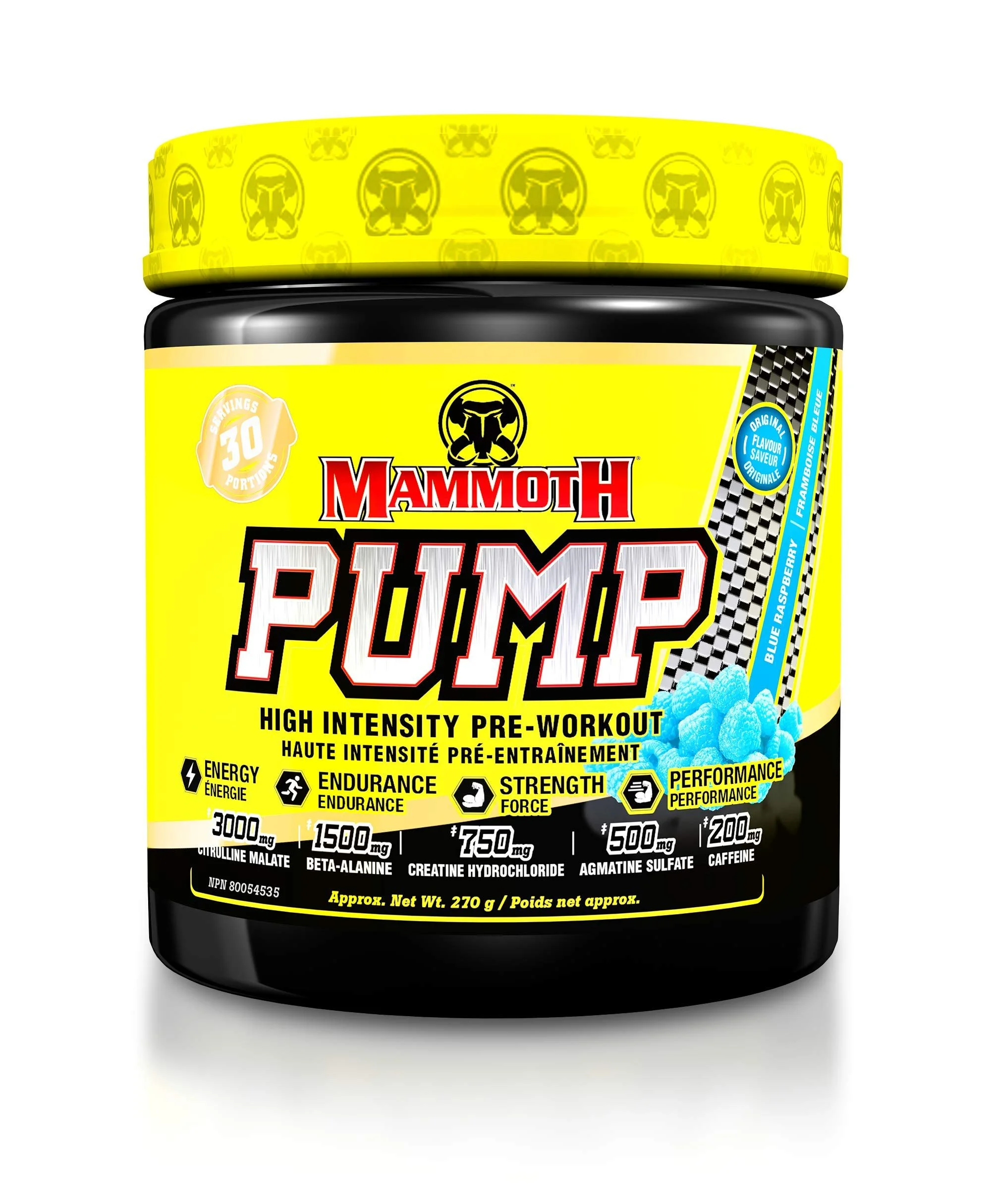 Mammoth Pump Front.jpg