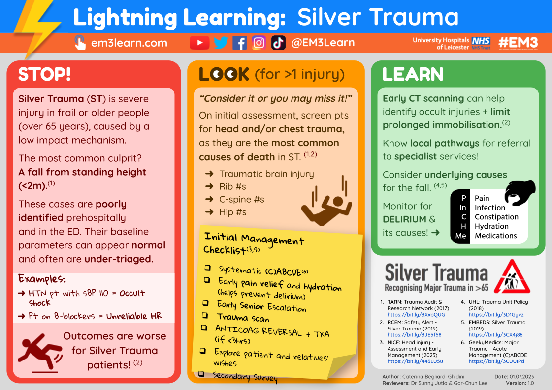 Silver Trauma Checklist.pdf Adult Lightning Learning Resources — EM3