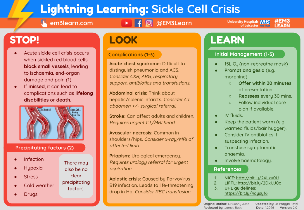Paediatric Lightning Learning Resources — EM3