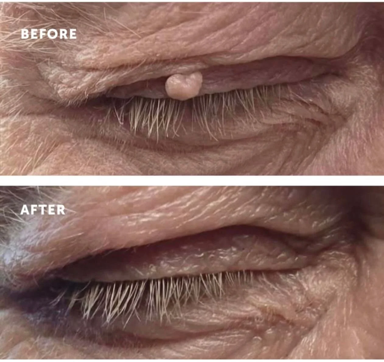 WhatsApp Image 2025-12-06 at 18.04.13 (1).jpeg