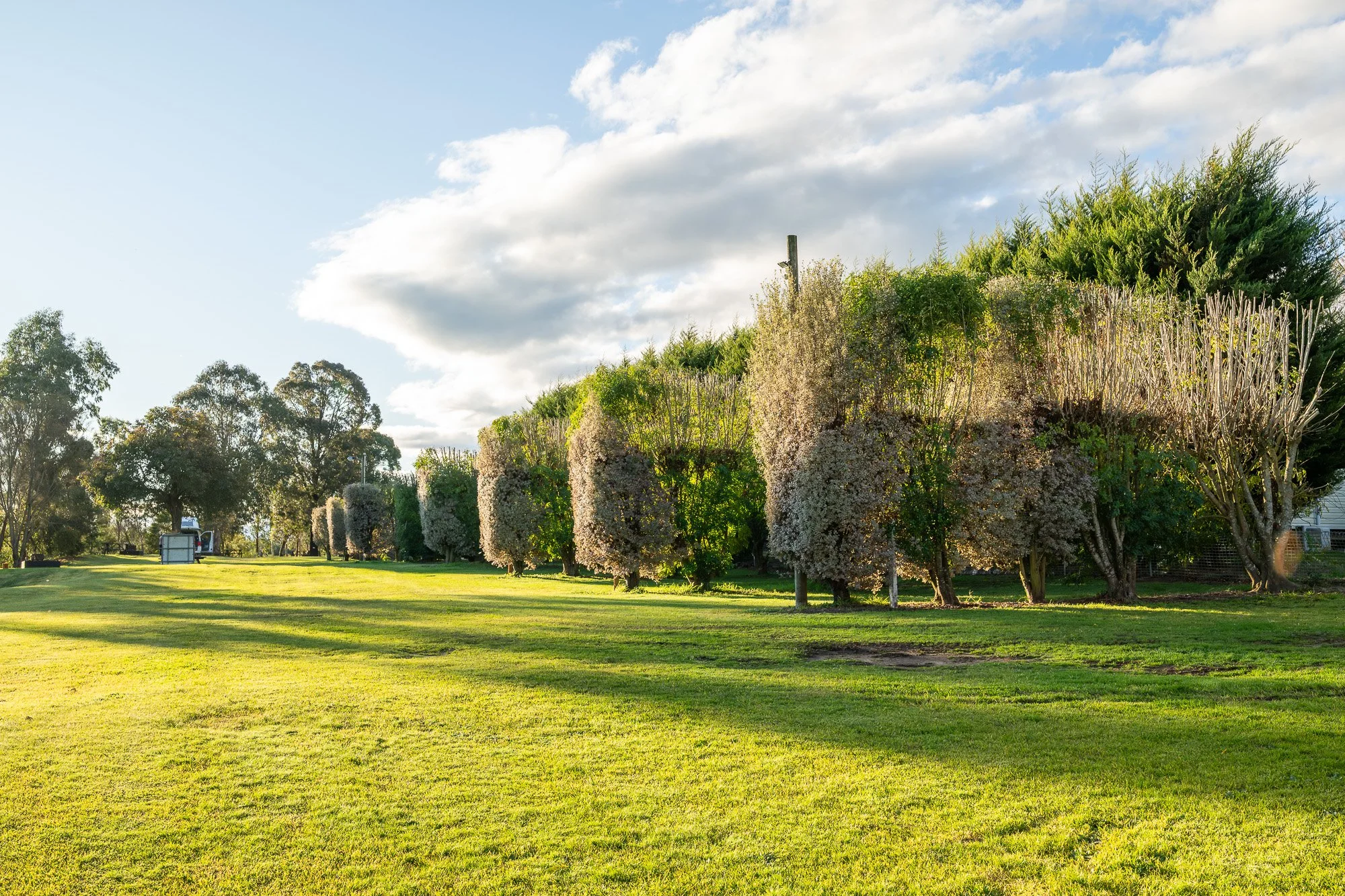 Photography of caravan park accommodation grounds and gardens in the afternoon sunlight in Victoria