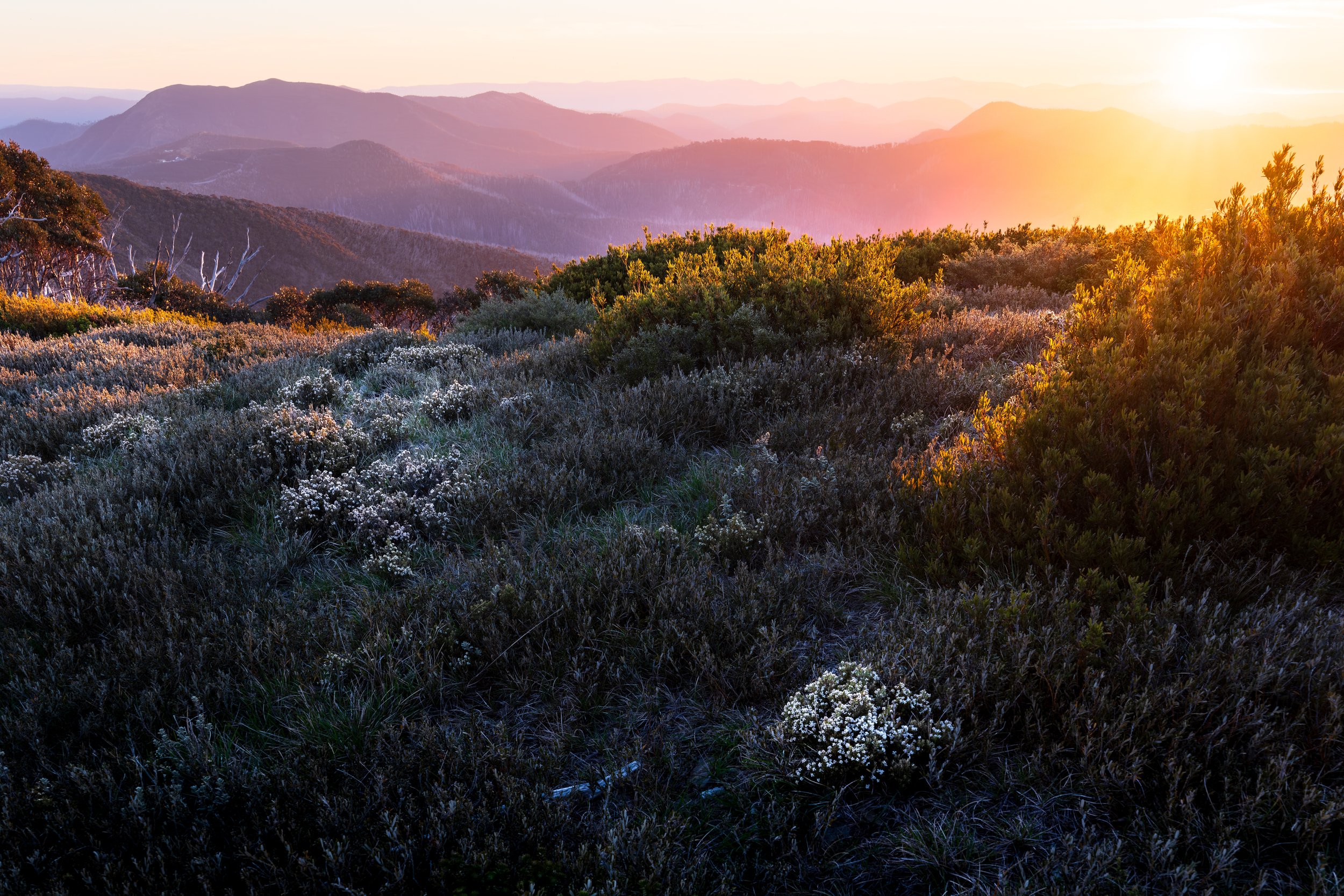 Mount Hotham alpine sunset landscape and tourism photography in Victoria's High Country.