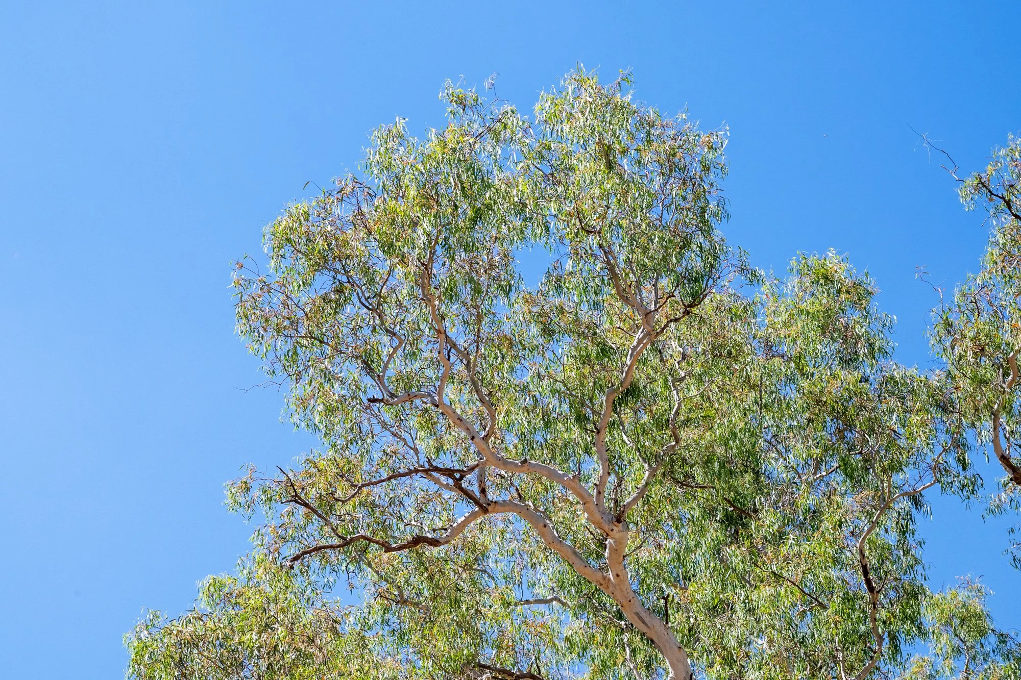 Andana_WEB-133.jpg