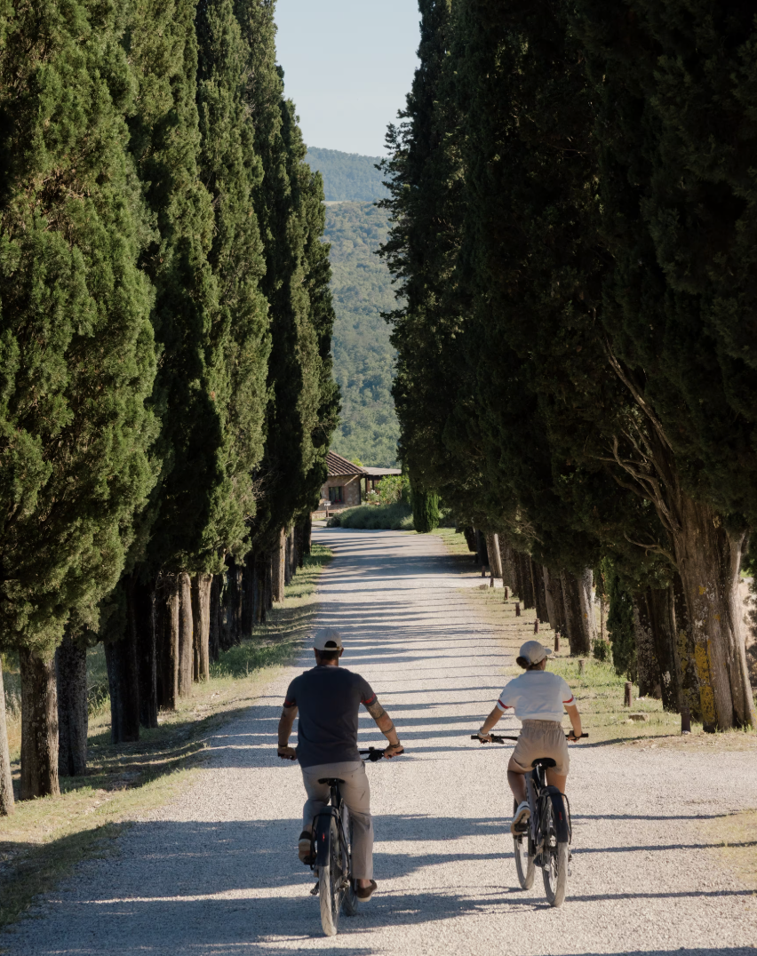 Screen Shot 2026-02-21 at 11.55.18 pm.png