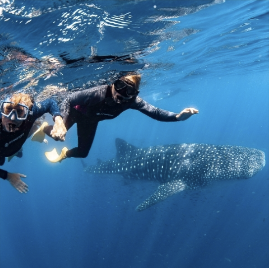 Screen Shot 2026-02-26 at 2.55.12 pm.png