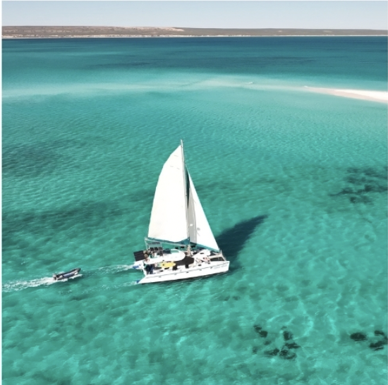 Screen Shot 2026-02-26 at 2.54.58 pm.png