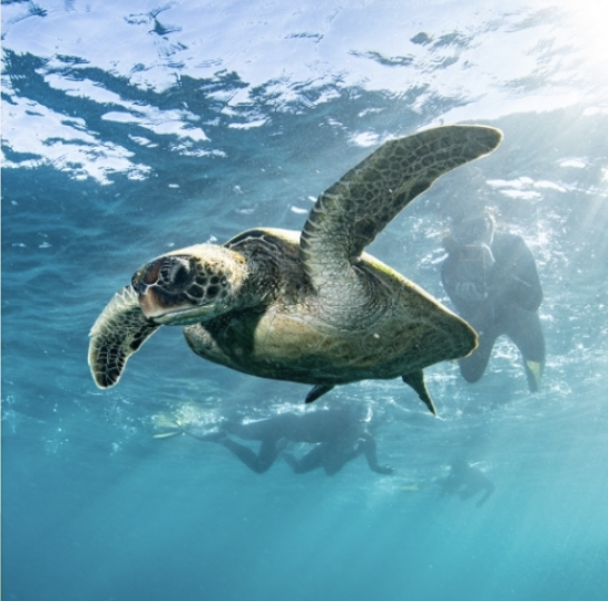 Screen Shot 2026-02-26 at 3.04.27 pm.png