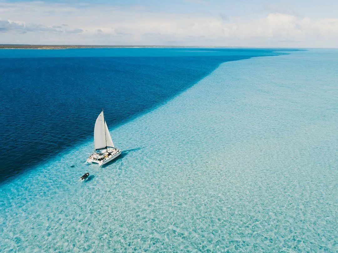 Sail Ningaloo – Swim with giants, save 10%