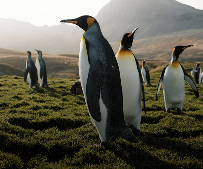 Screen Shot 2026-02-26 at 4.31.08 pm.png