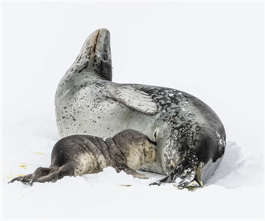 Screen Shot 2026-02-26 at 4.31.24 pm.png