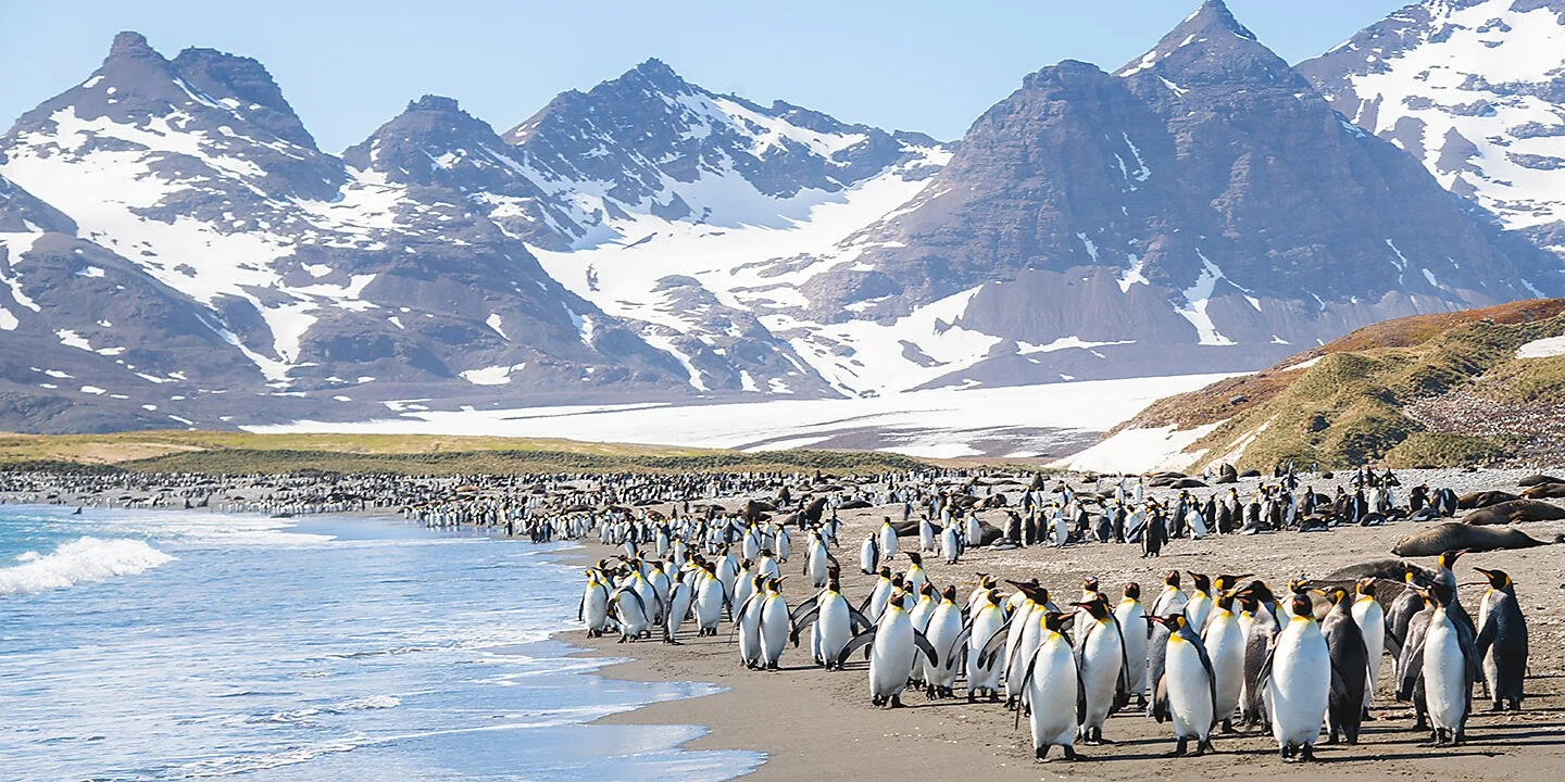 Ponant Antarctica 2027–2028 – Early bird savings to the White Continent