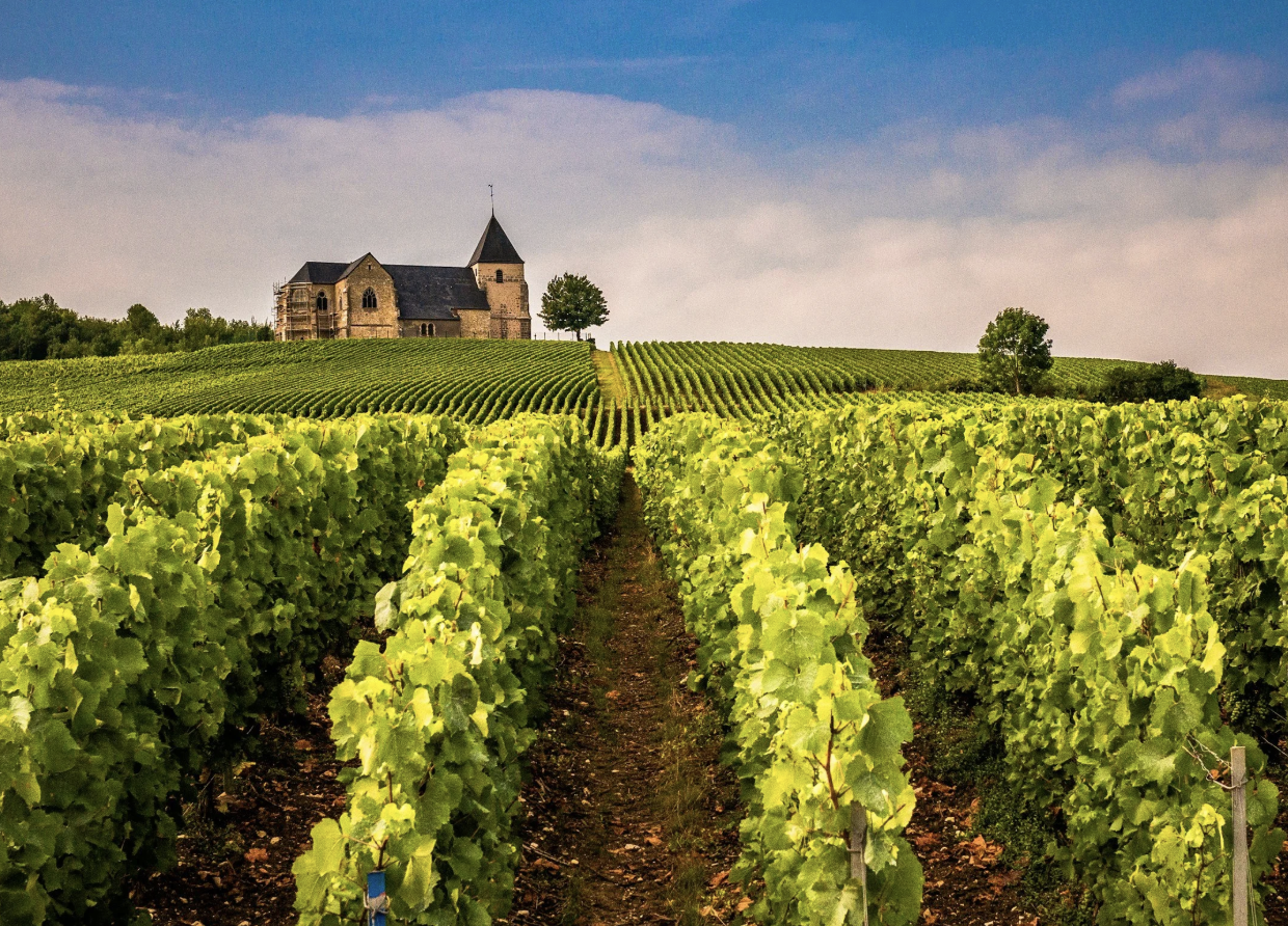 A Journey Through France and England: Culture, History and Gastronomy