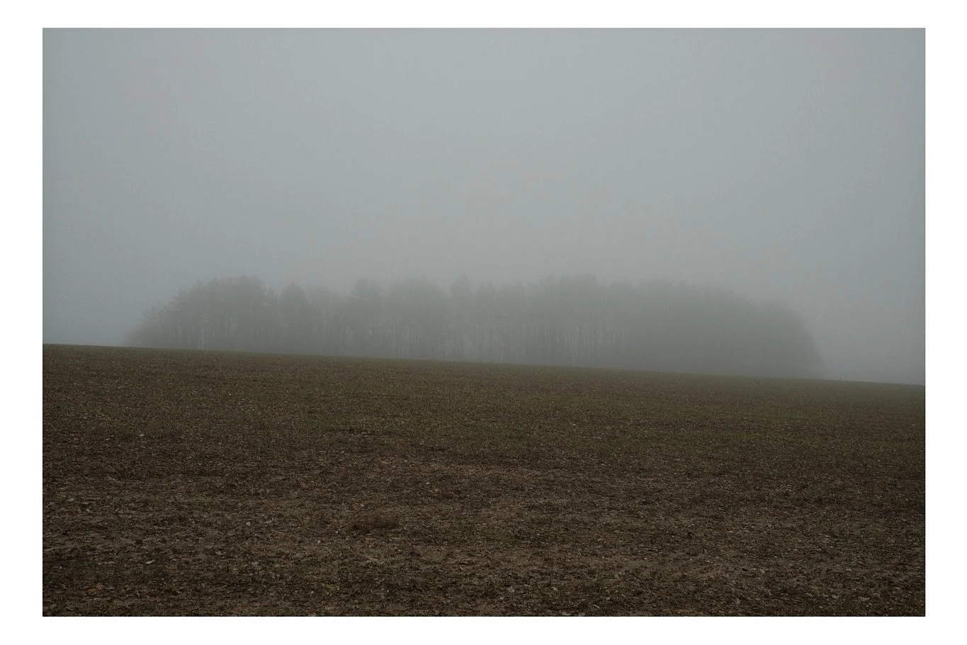 Fog last week 🌫️🌫️🌫️ #fuji #fujix100v #fujix100vshooters #fog #haze #photography #landscape