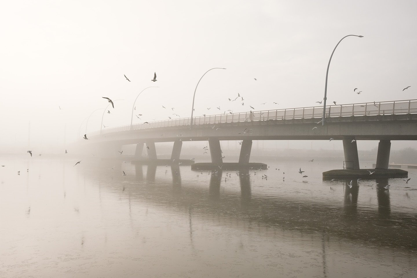 Incredible beautiful fog on Sunday at the Royal Docks 
.
.
.
.
.
#sooc #x100v #fujifilm_xseries #fujifilmx100v #fujifilm #fujifeed #fujilovers #fujifilmglobal