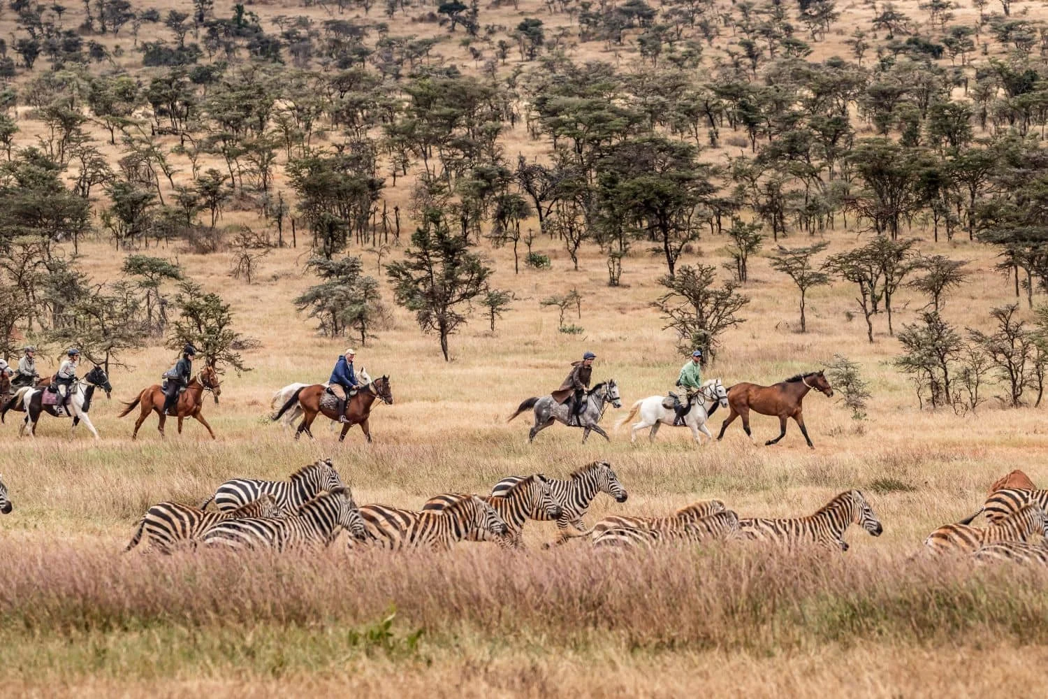 Laikipia-2024-hi-res-sneak-175-1.jpg