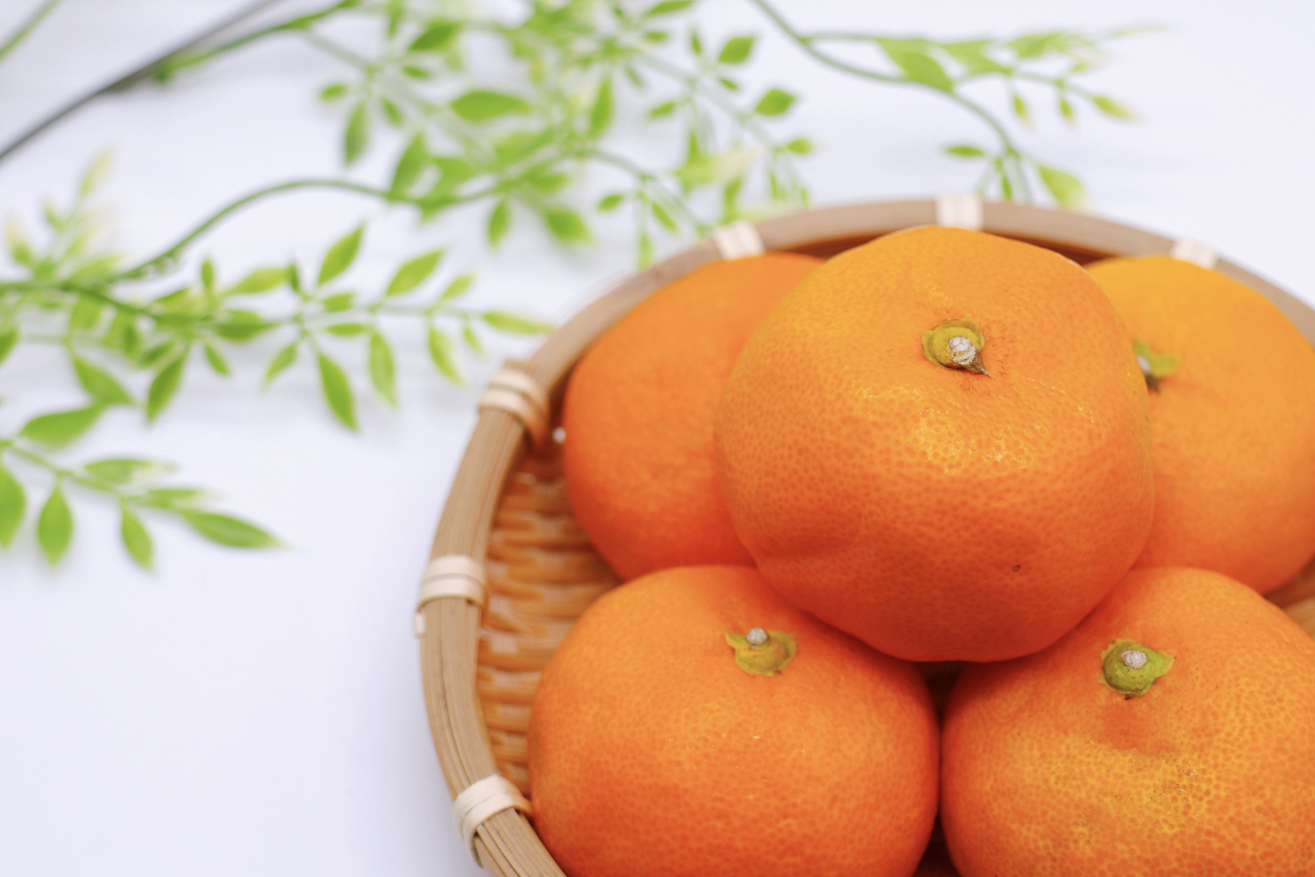 Ehime Mandarins.png
