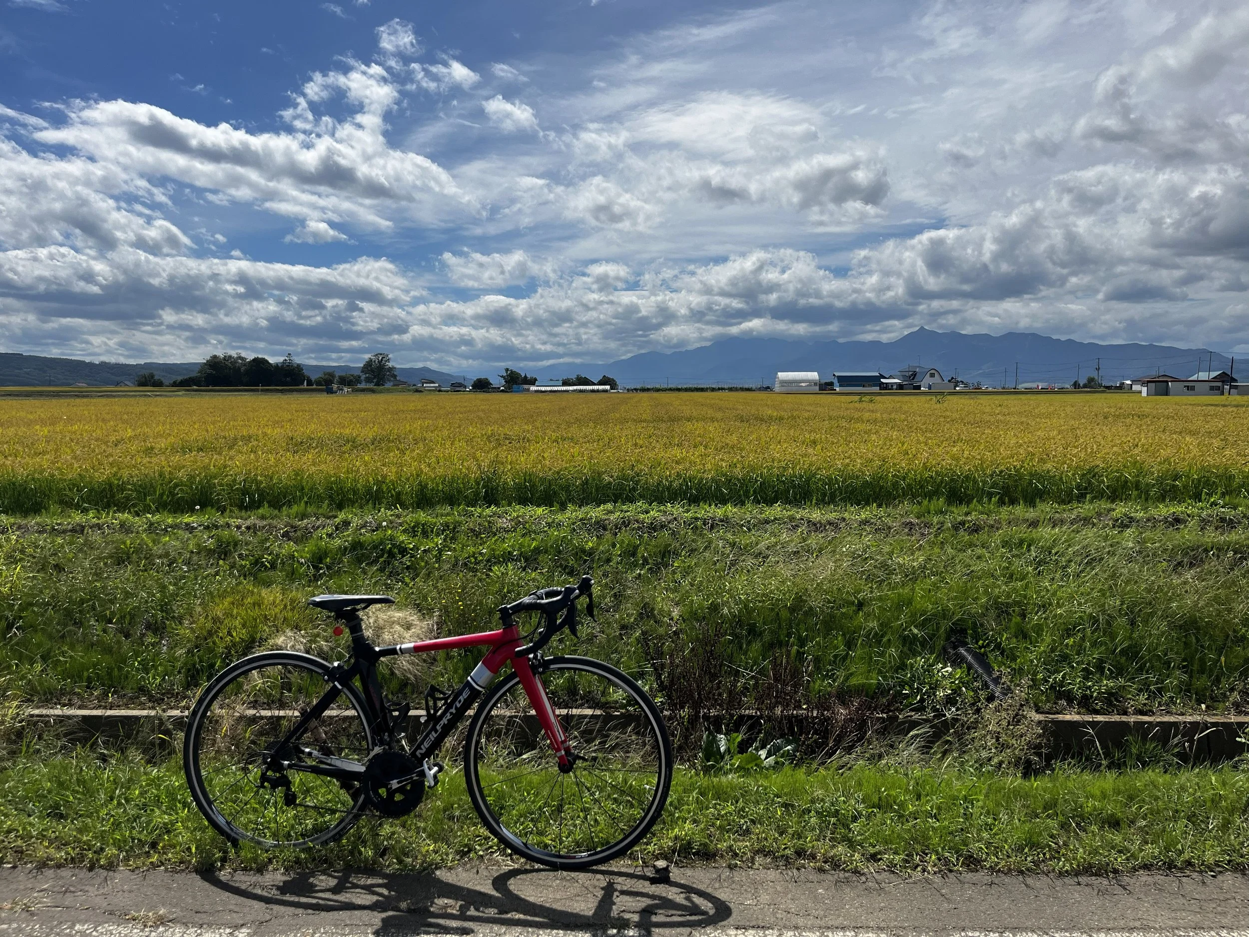 A red and black road bicycle leaning against grass beside a paved road, with a large yellow field, farm buildings, and mountains under a partly cloudy sky in the background.