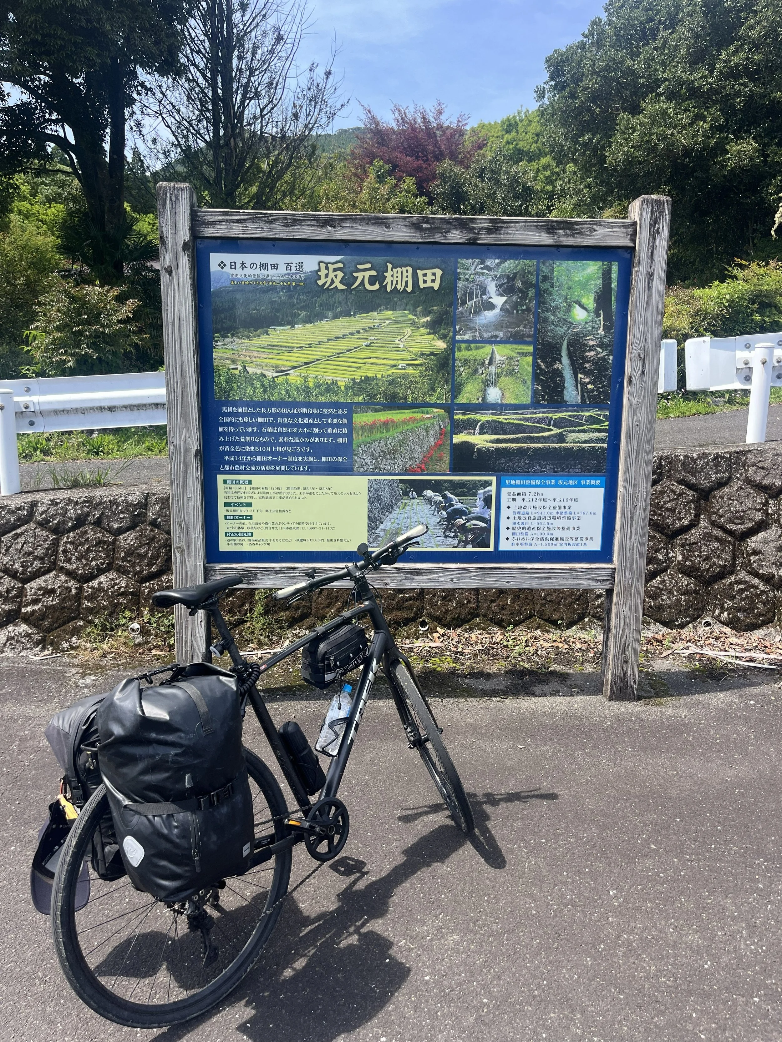 Sakamoto Rice Terrace.jpg