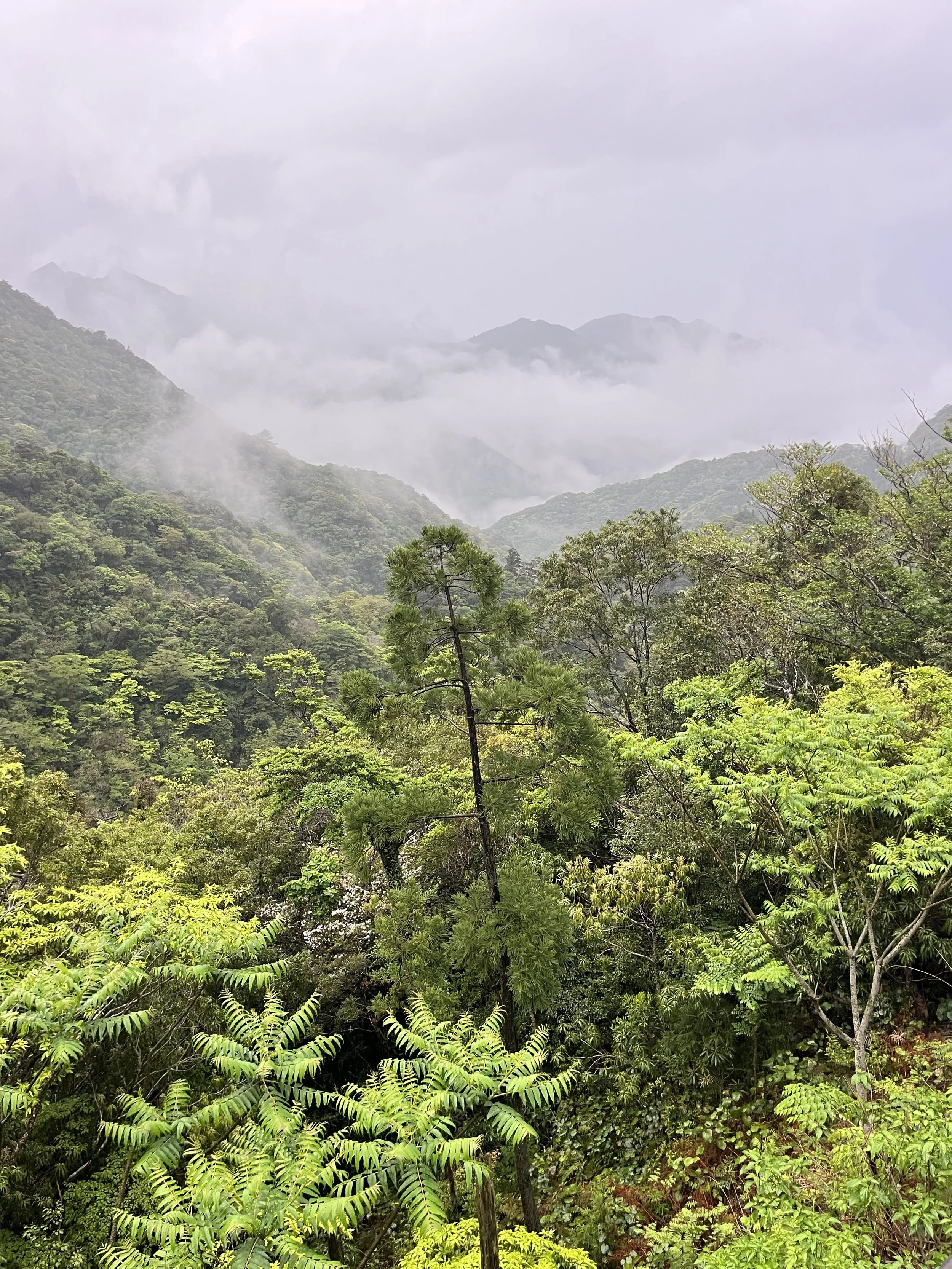 Kyushu Reconnaissance: The Logistics of Building a Tour